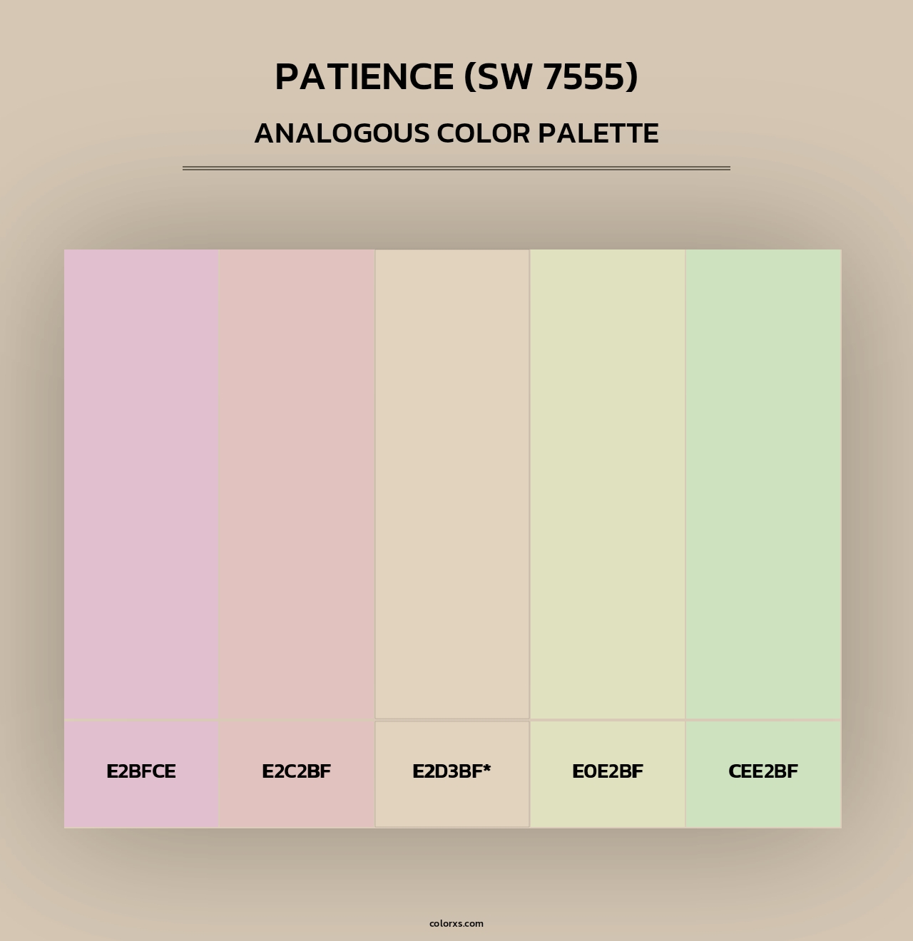 Patience (SW 7555) - Analogous Color Palette
