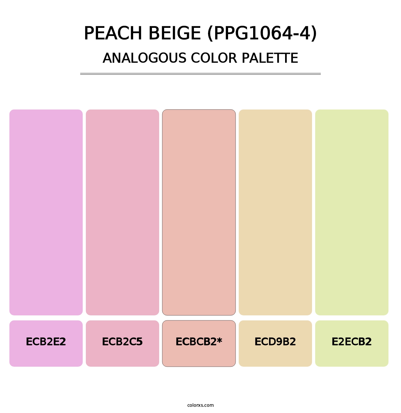 Peach Beige (PPG1064-4) - Analogous Color Palette
