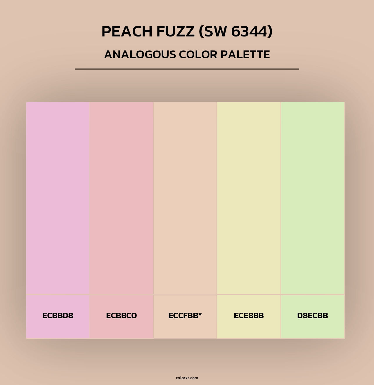 Peach Fuzz (SW 6344) - Analogous Color Palette
