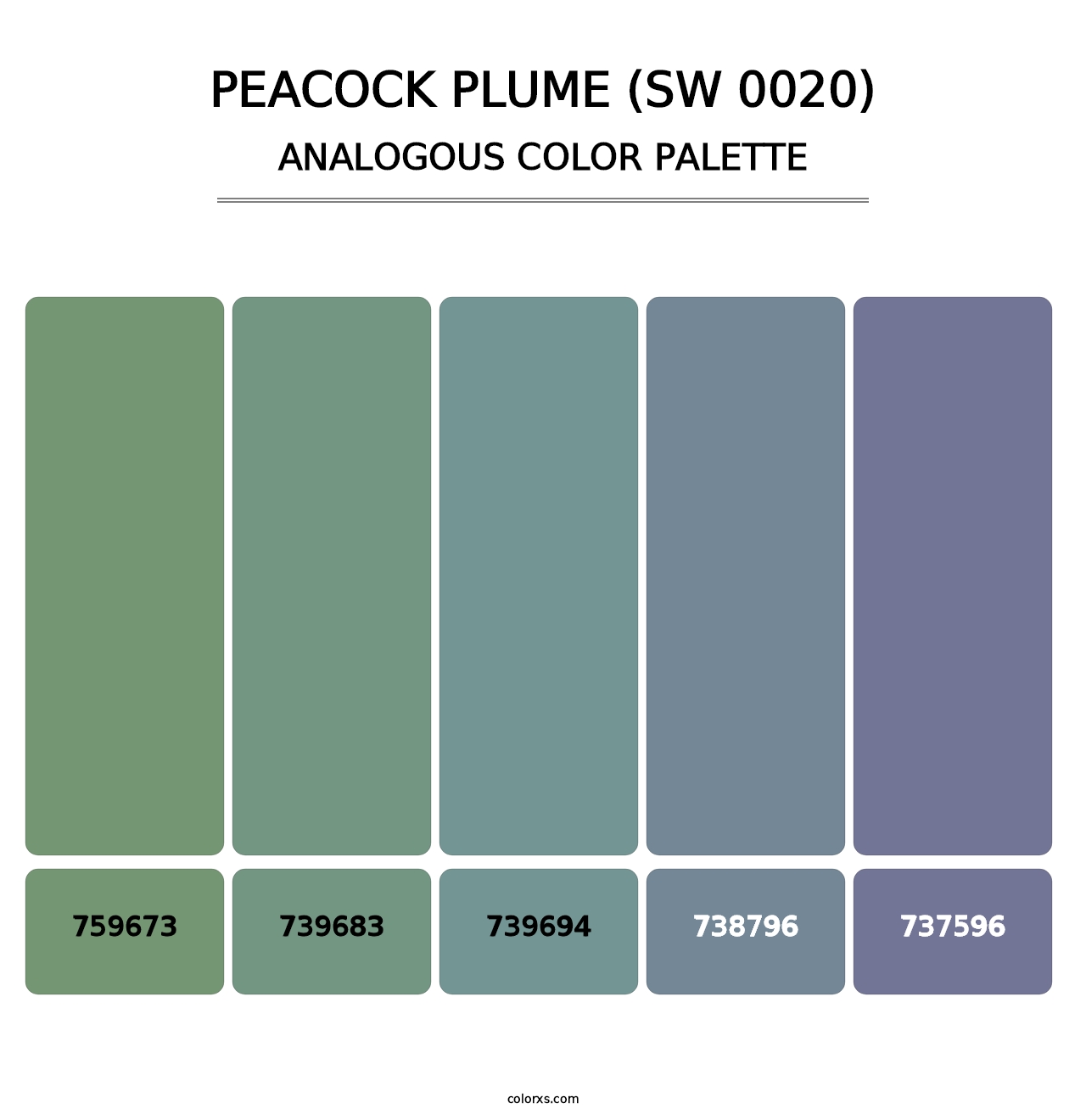 Peacock Plume (SW 0020) - Analogous Color Palette