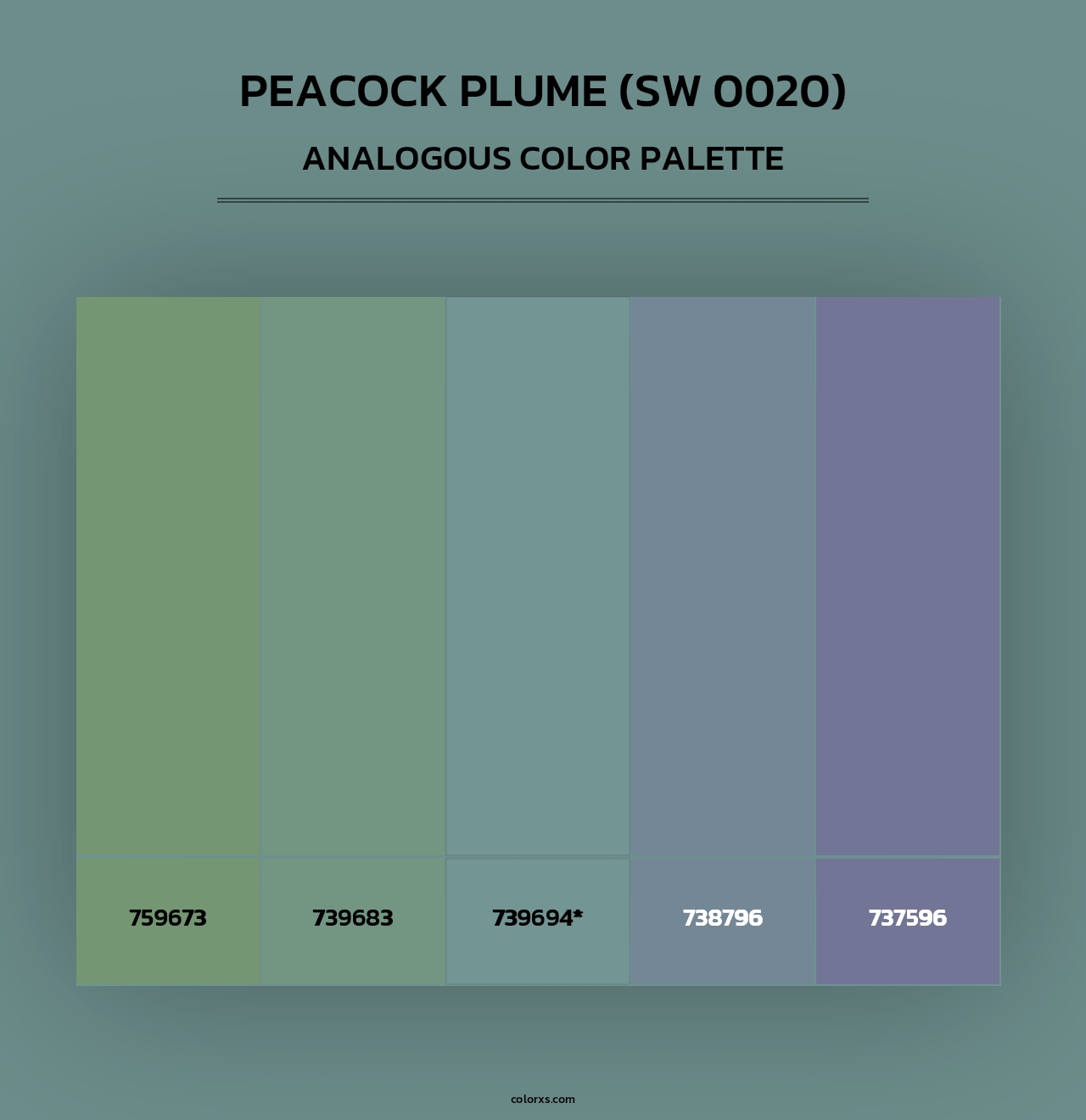 Peacock Plume (SW 0020) - Analogous Color Palette