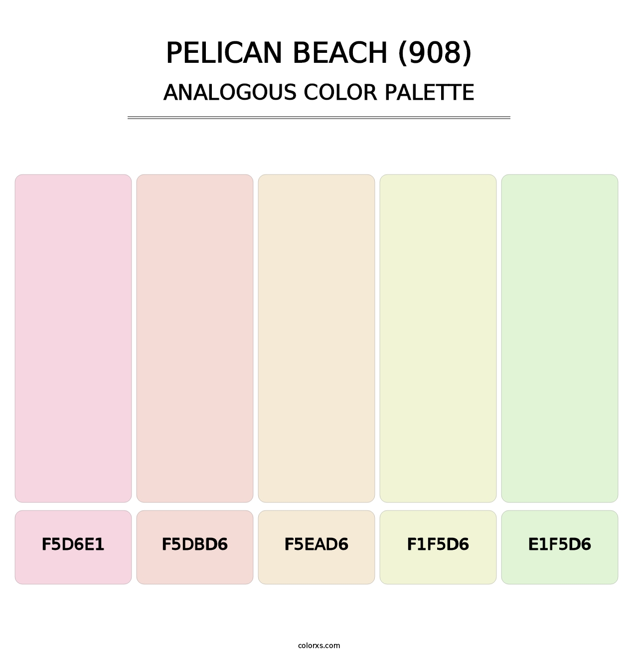 Pelican Beach (908) - Analogous Color Palette