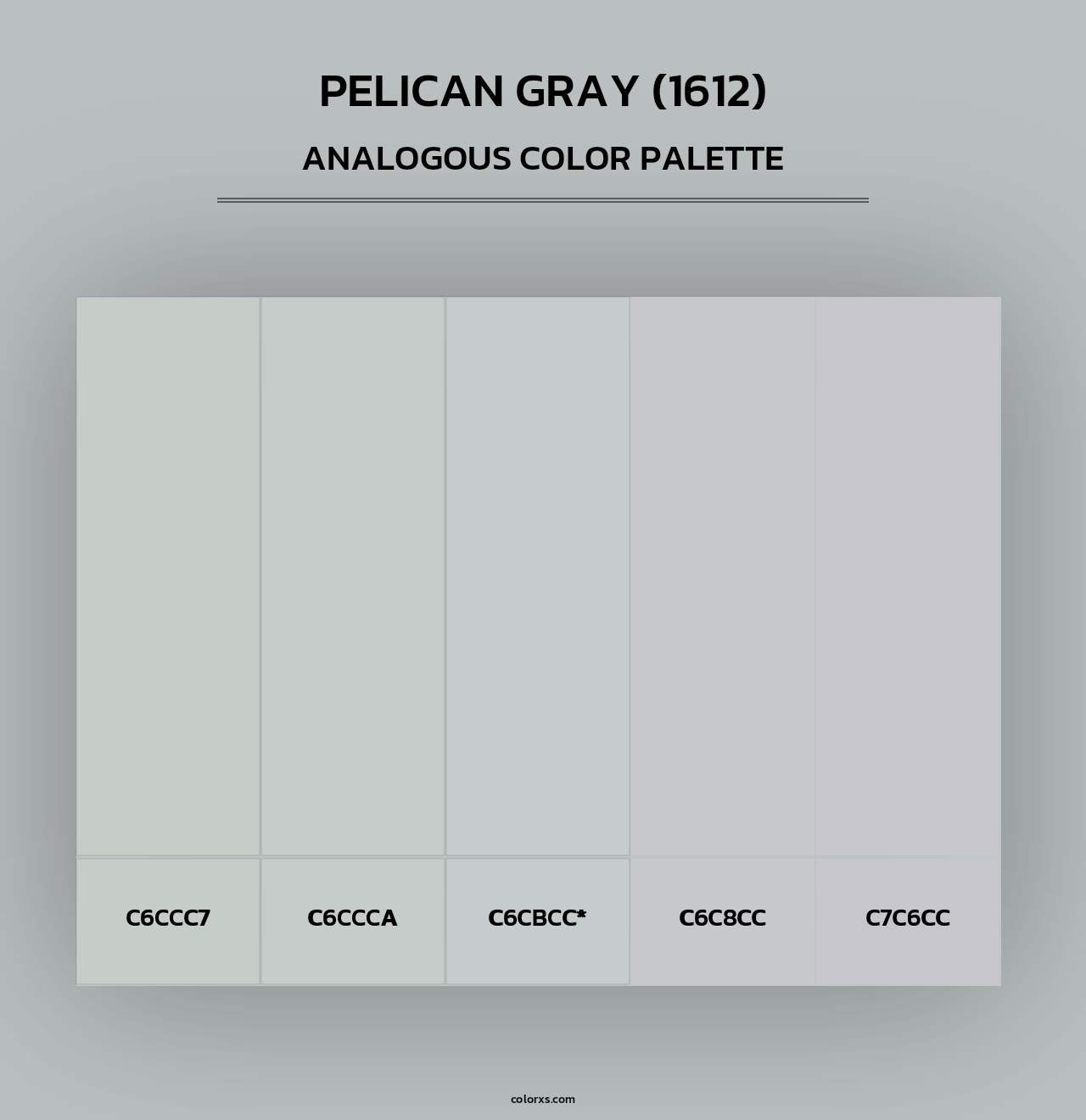 Pelican Gray (1612) - Analogous Color Palette