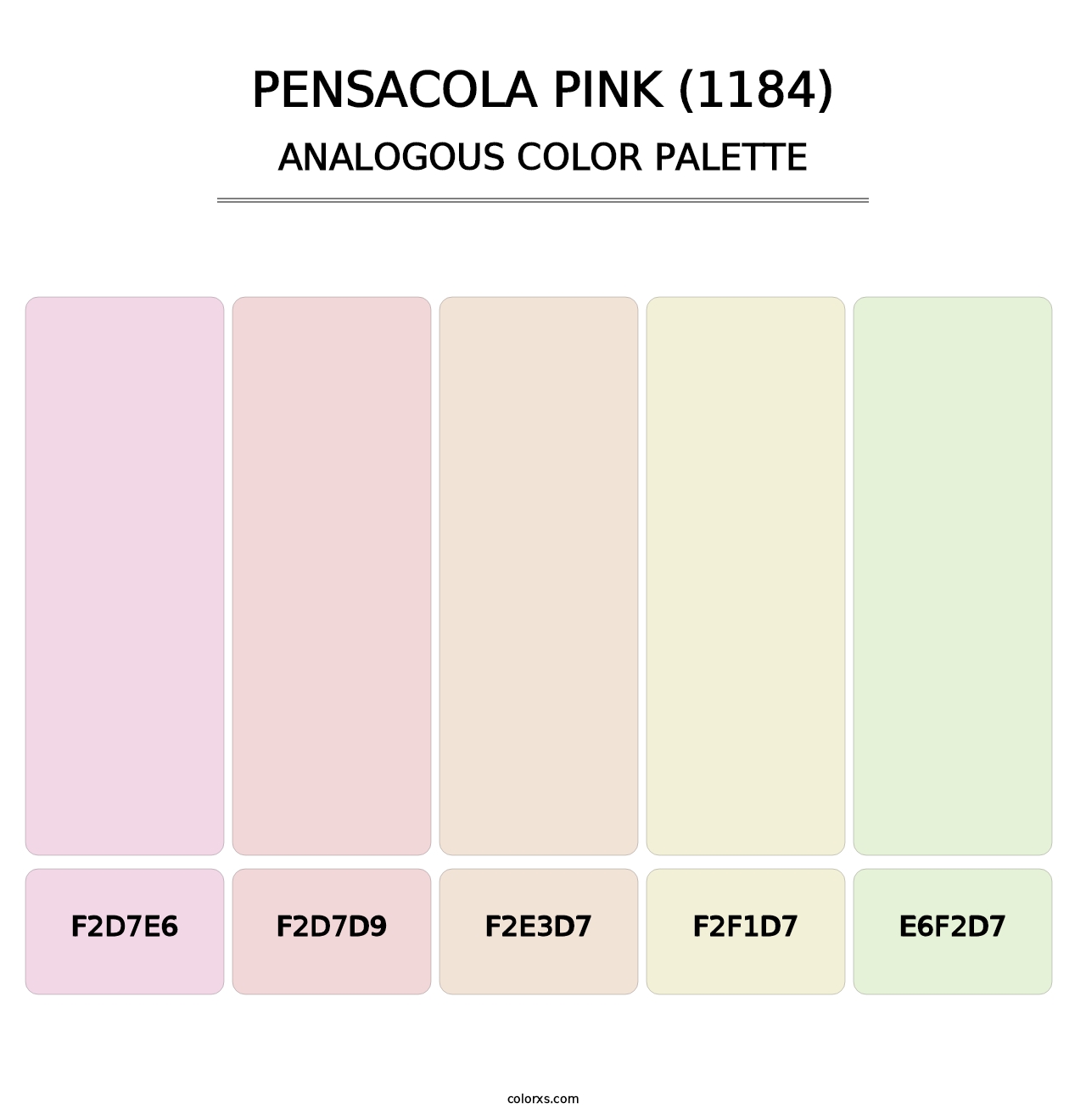 Pensacola Pink (1184) - Analogous Color Palette