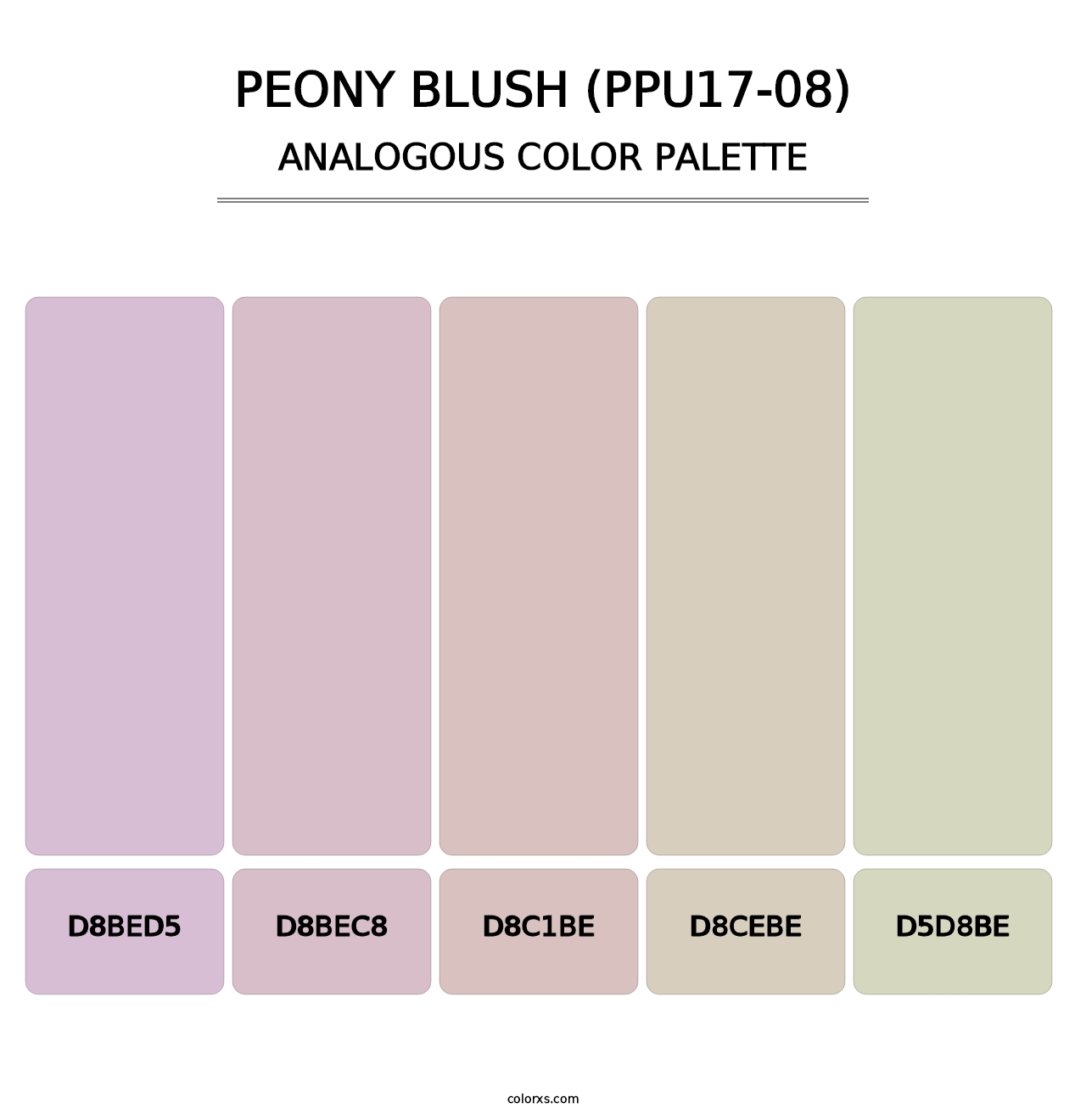 Peony Blush (PPU17-08) - Analogous Color Palette