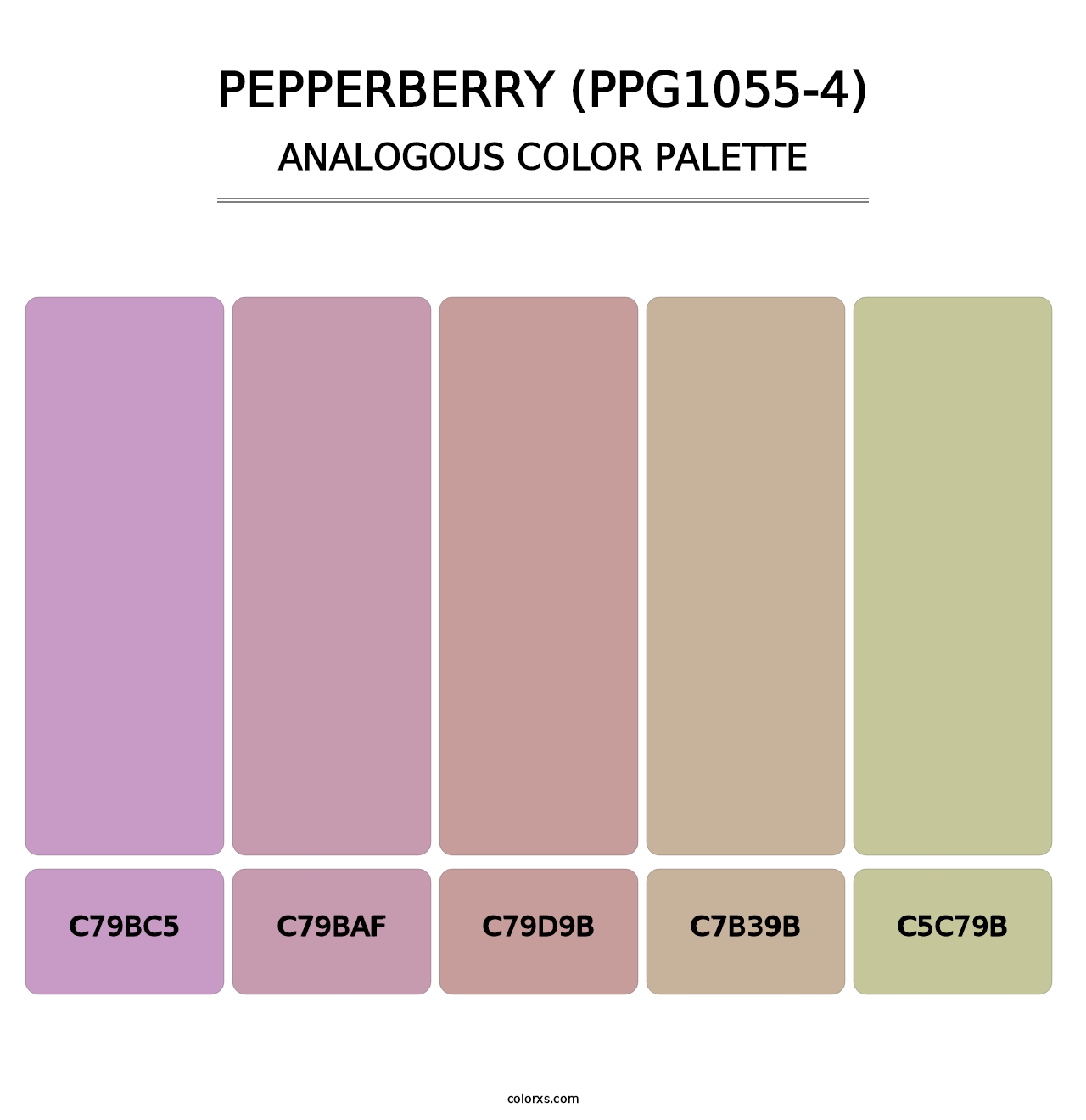 Pepperberry (PPG1055-4) - Analogous Color Palette