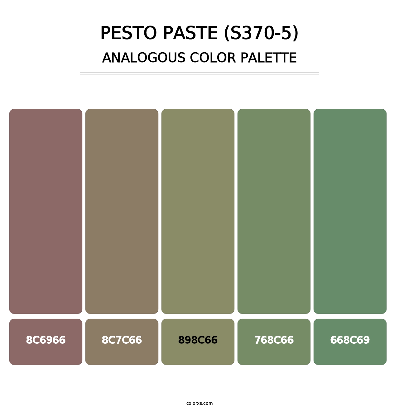 Pesto Paste (S370-5) - Analogous Color Palette