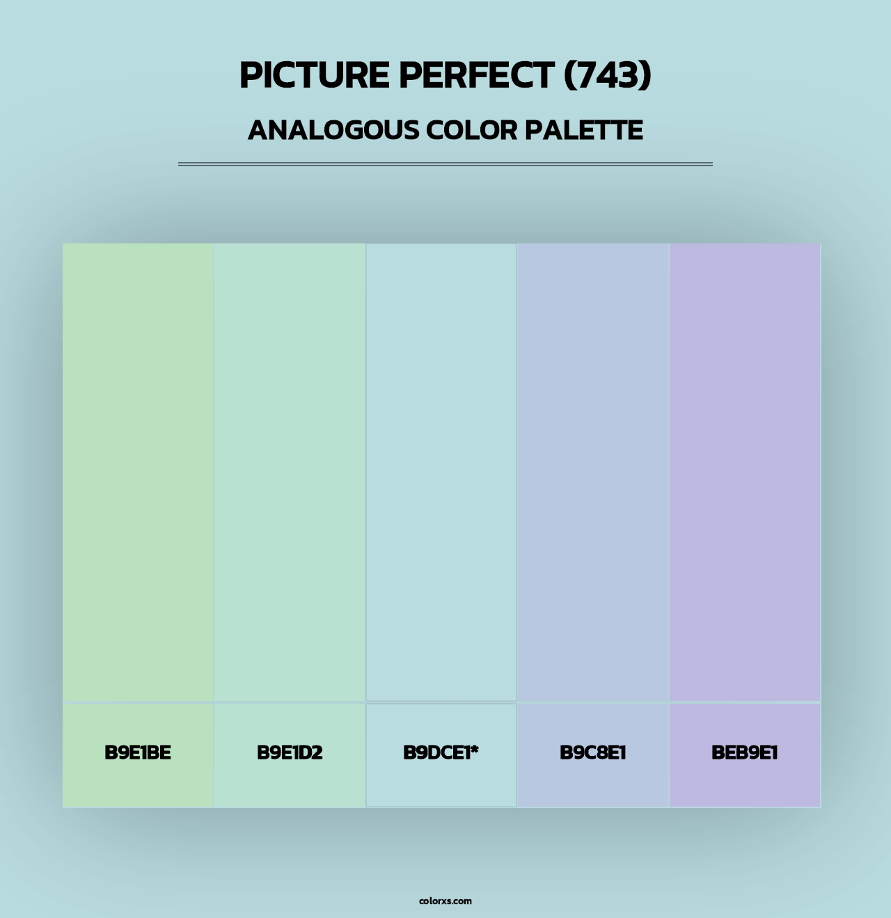 Picture Perfect (743) - Analogous Color Palette