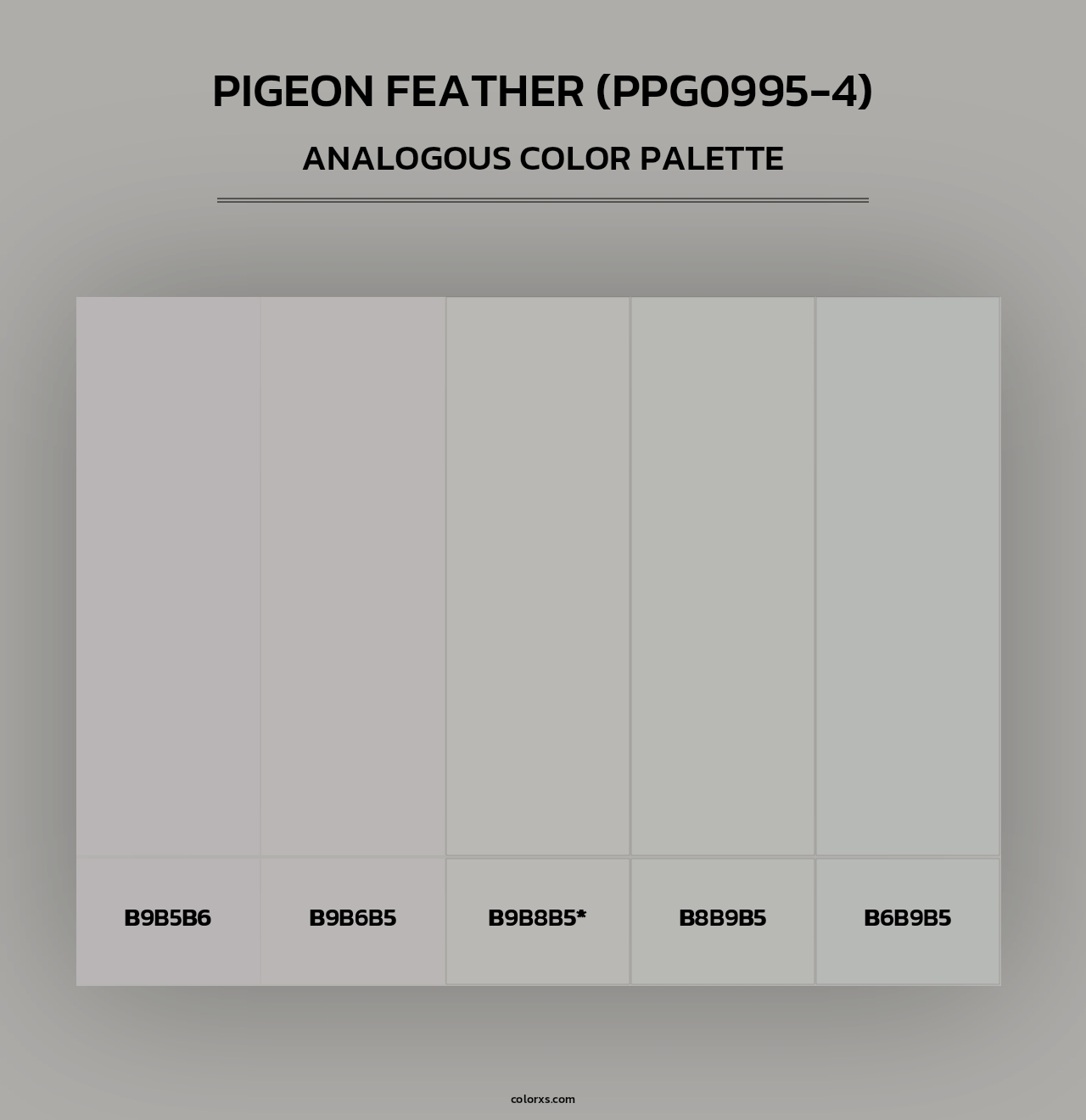 Pigeon Feather (PPG0995-4) - Analogous Color Palette