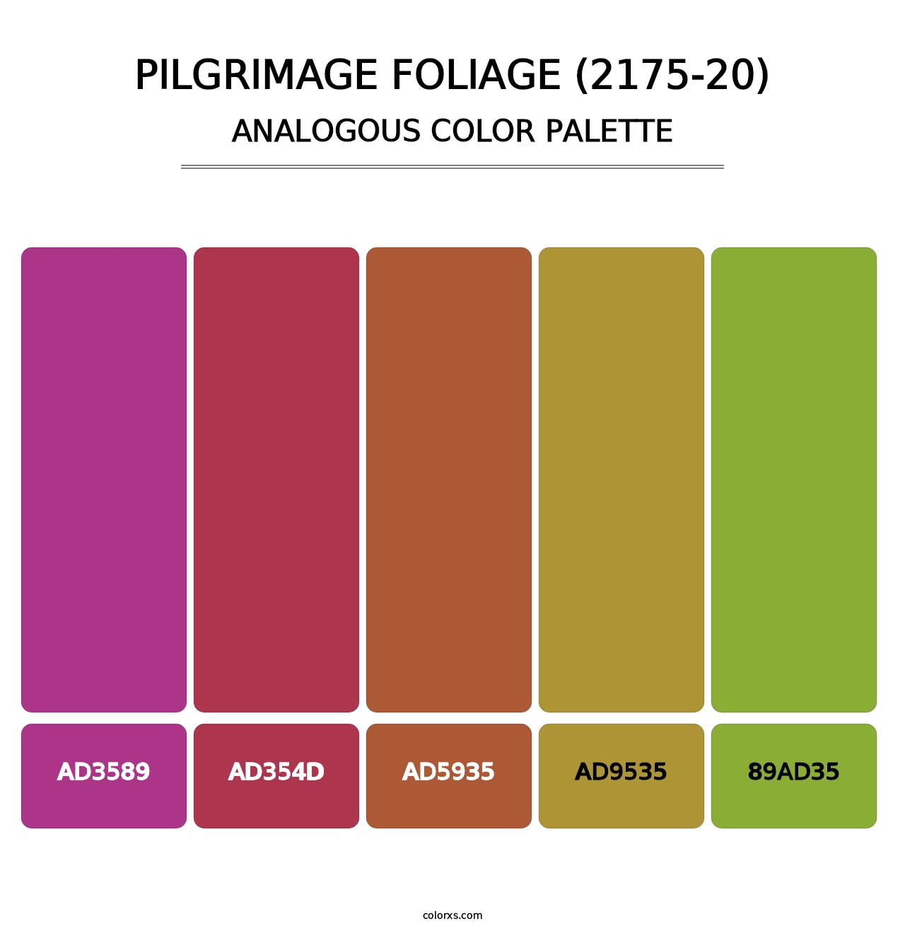 Pilgrimage Foliage (2175-20) - Analogous Color Palette