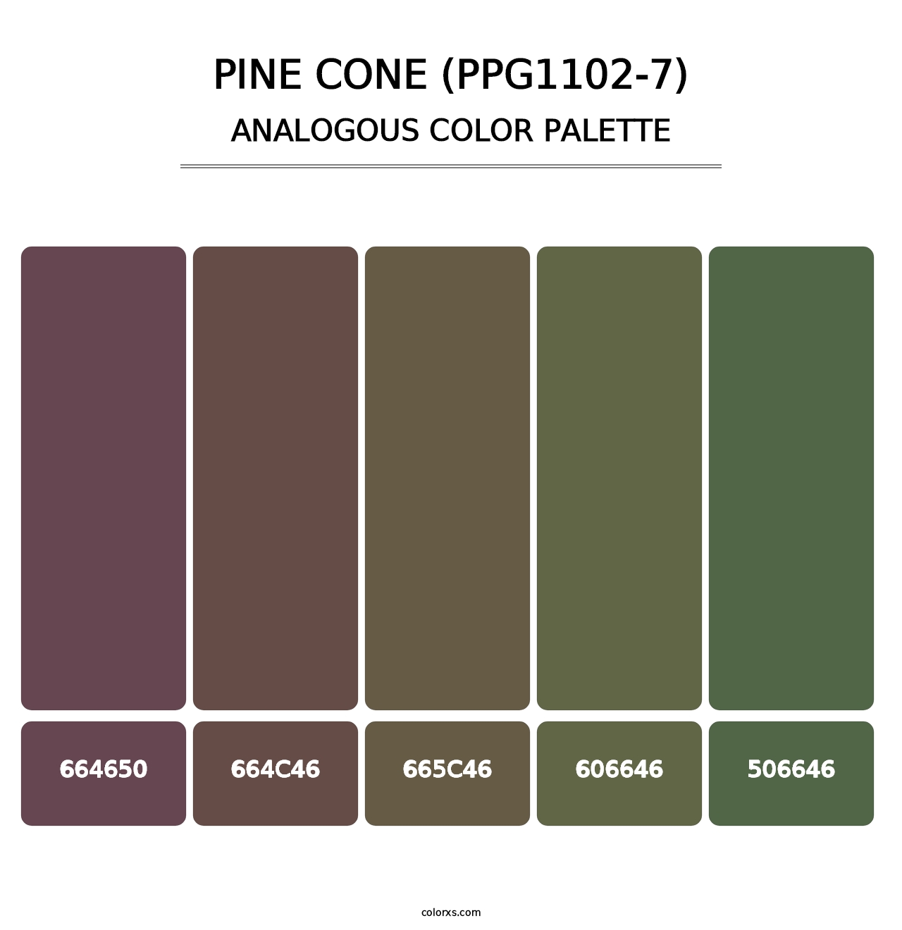 Pine Cone (PPG1102-7) - Analogous Color Palette