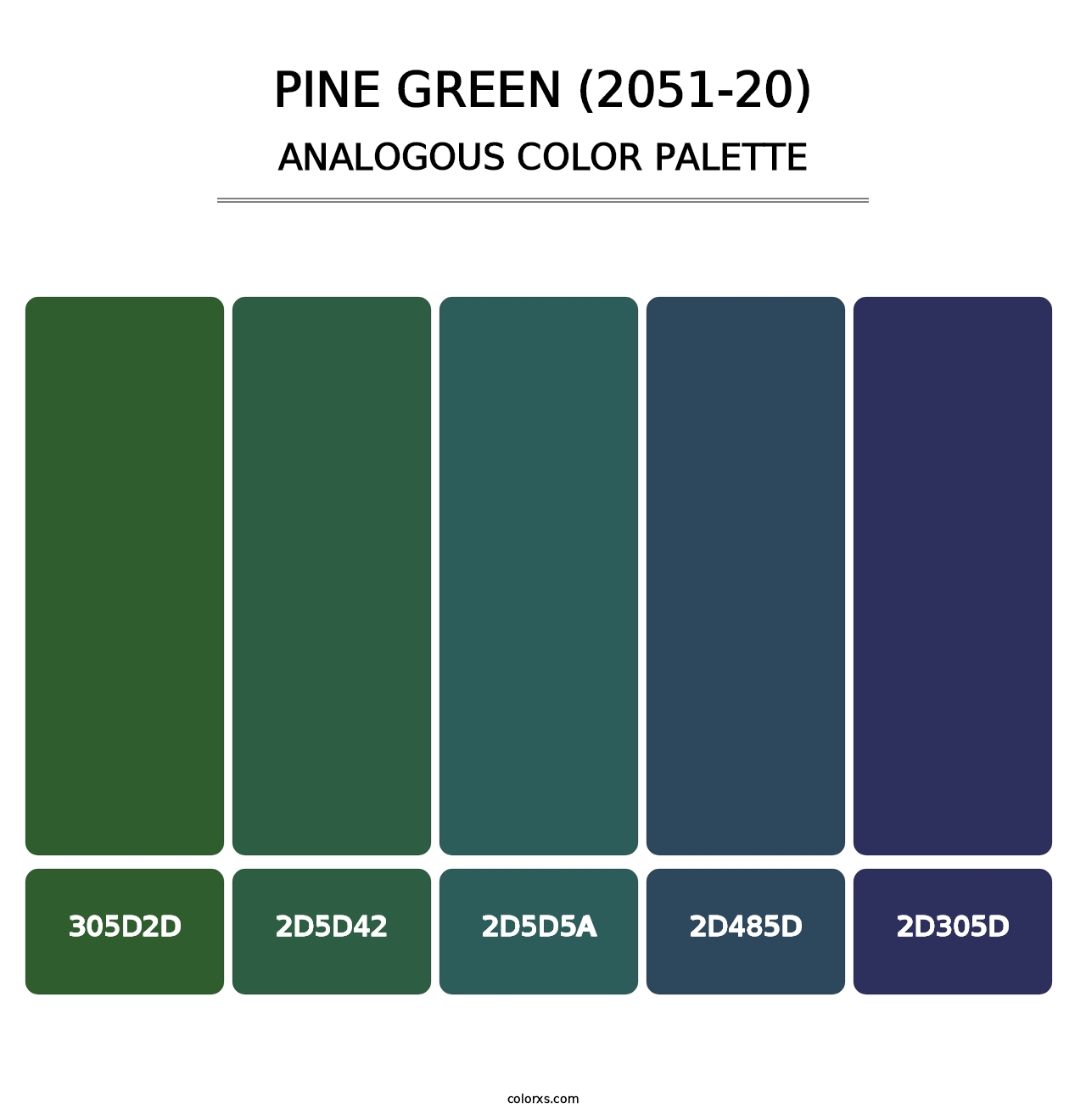 Pine Green (2051-20) - Analogous Color Palette