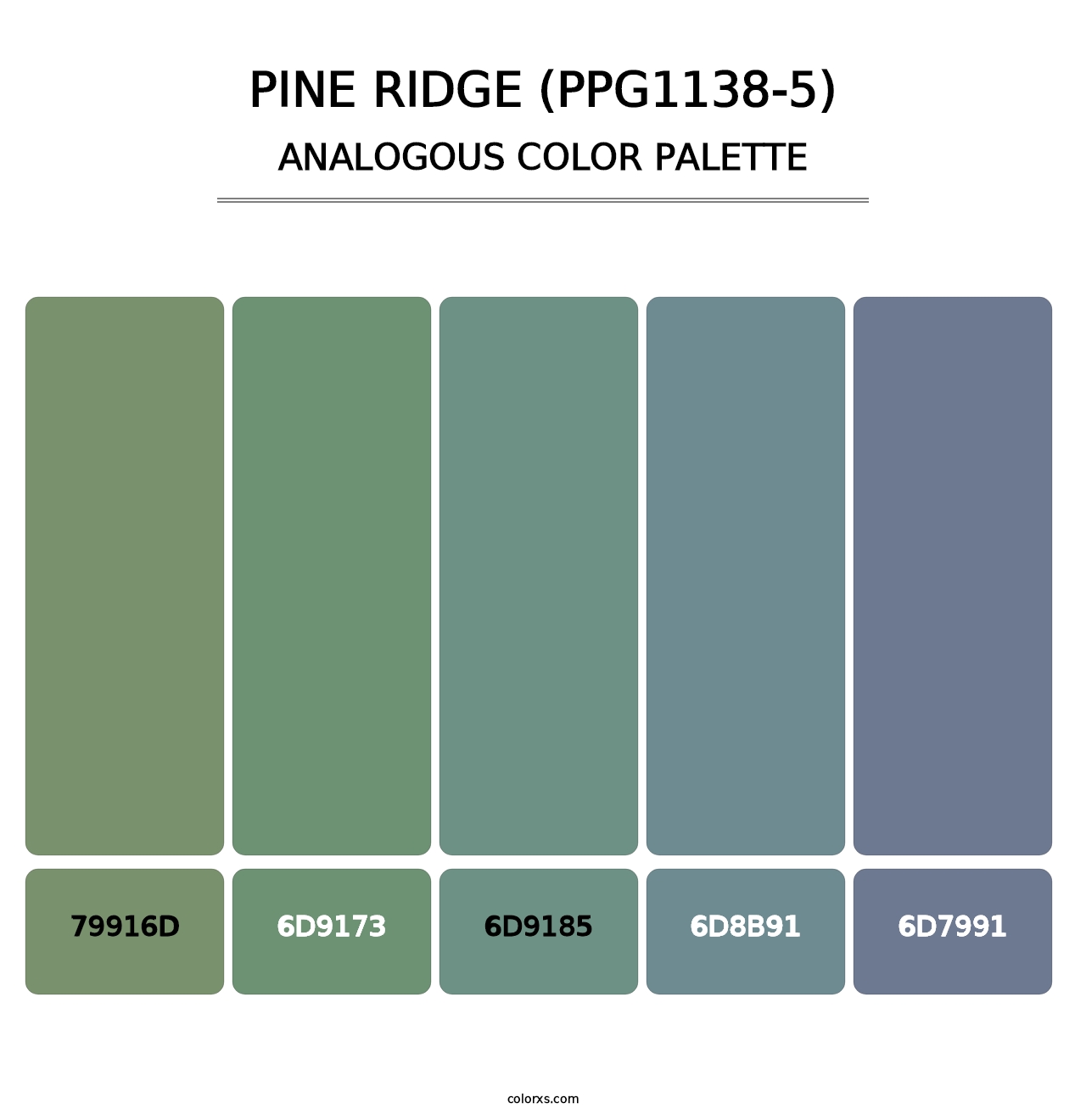 Pine Ridge (PPG1138-5) - Analogous Color Palette