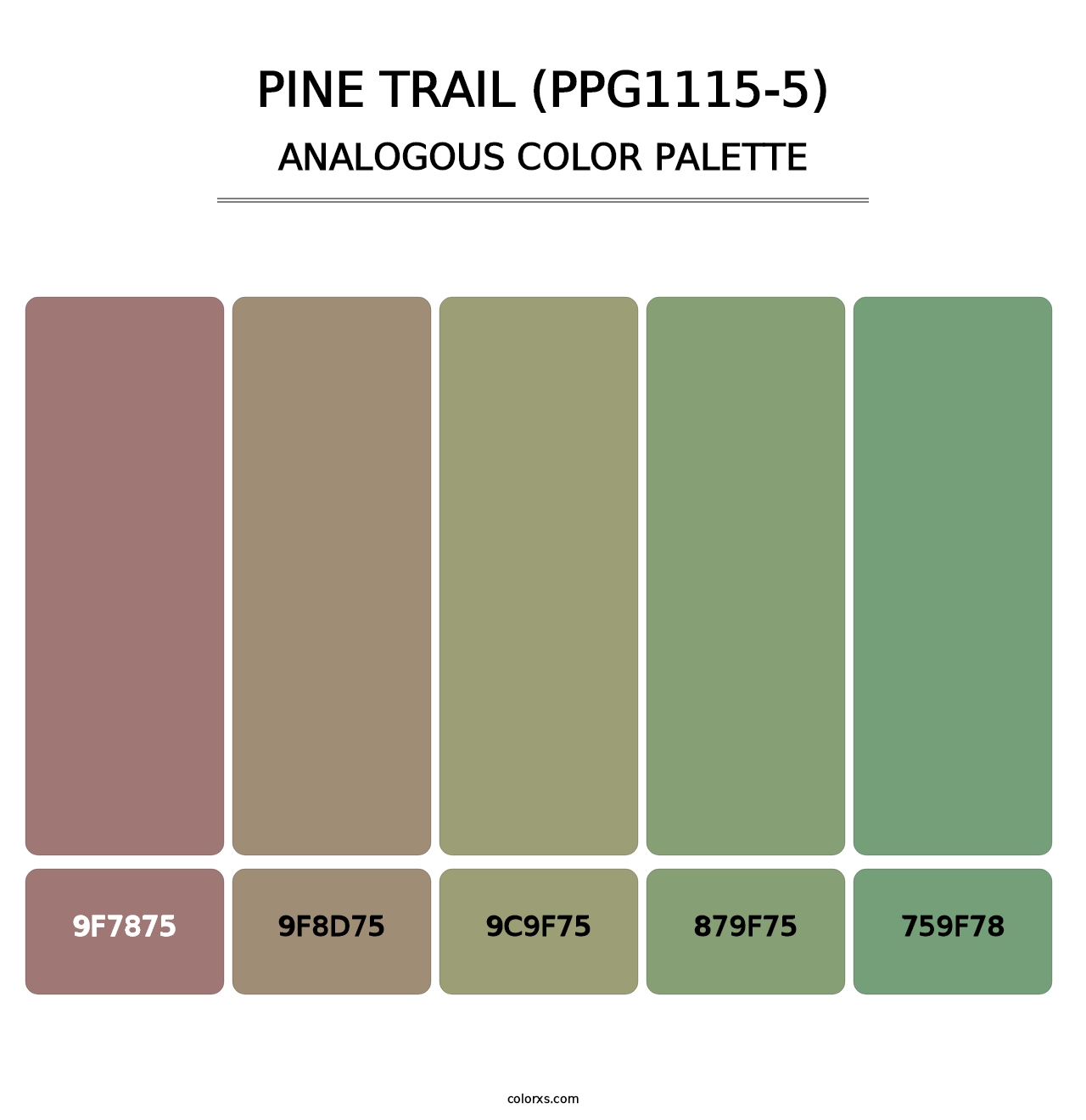 Pine Trail (PPG1115-5) - Analogous Color Palette