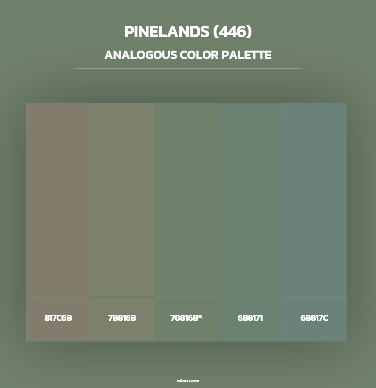 Pinelands (446) - Analogous Color Palette