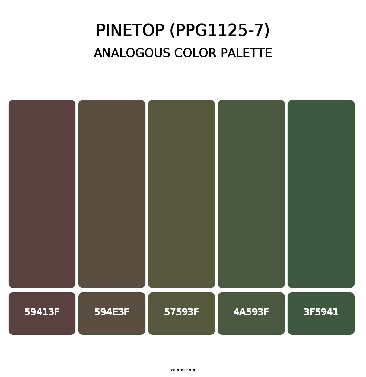 Pinetop (PPG1125-7) - Analogous Color Palette