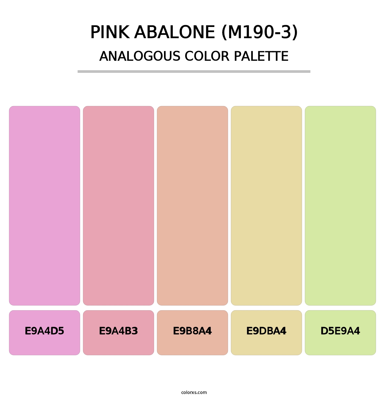 Pink Abalone (M190-3) - Analogous Color Palette