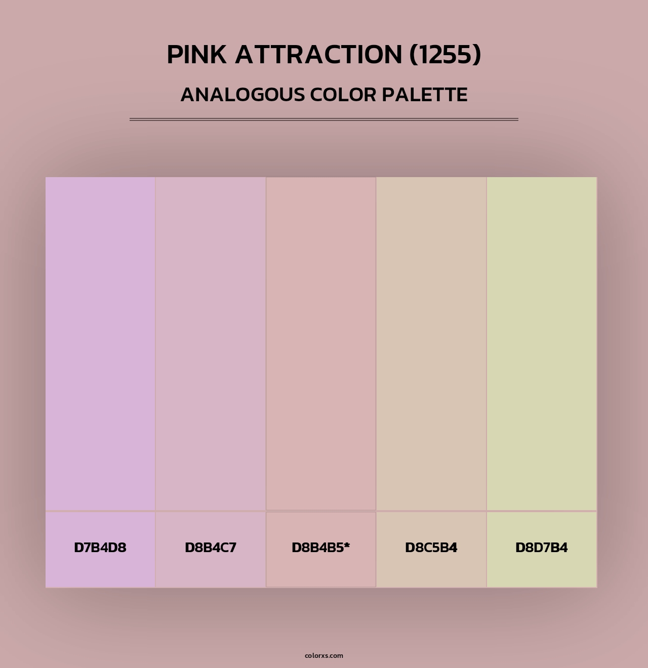 Pink Attraction (1255) - Analogous Color Palette