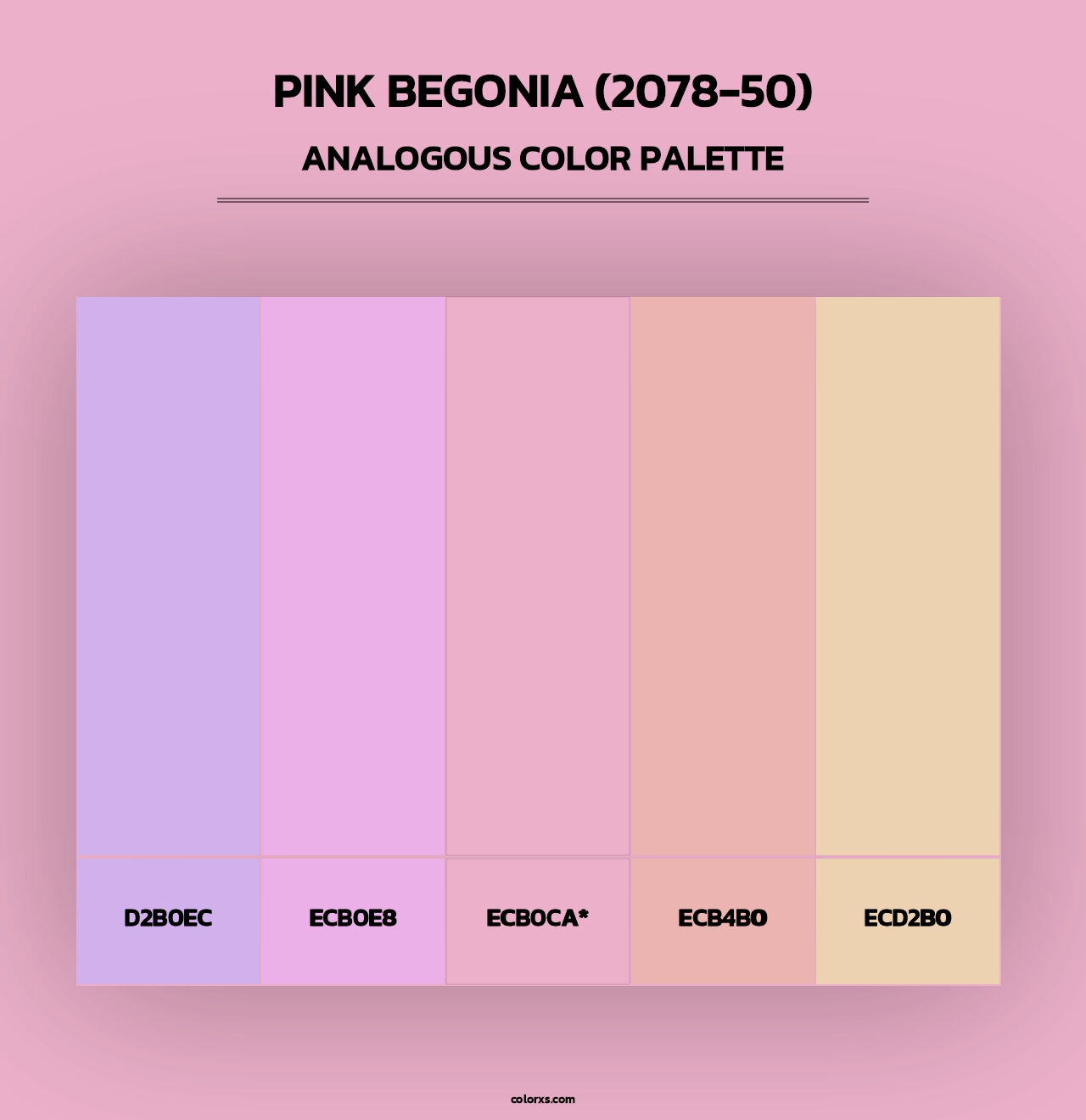 Pink Begonia (2078-50) - Analogous Color Palette