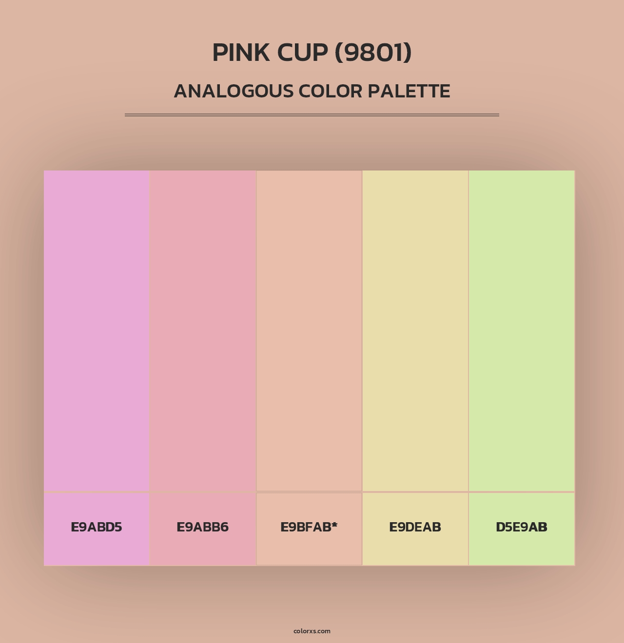 Pink Cup (9801) - Analogous Color Palette