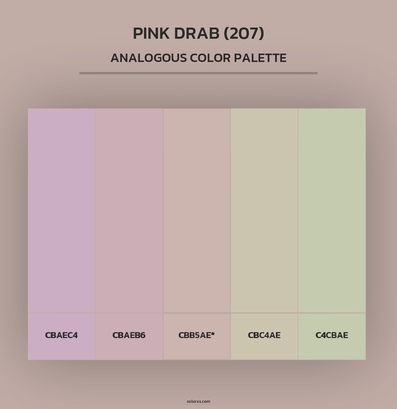 Pink Drab (207) - Analogous Color Palette