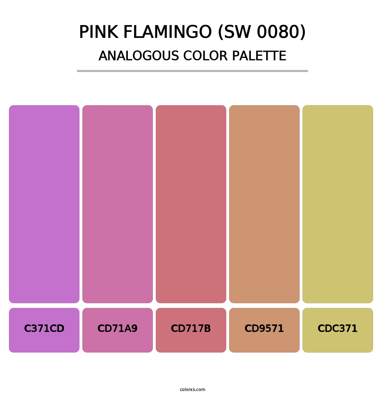 Pink Flamingo (SW 0080) - Analogous Color Palette