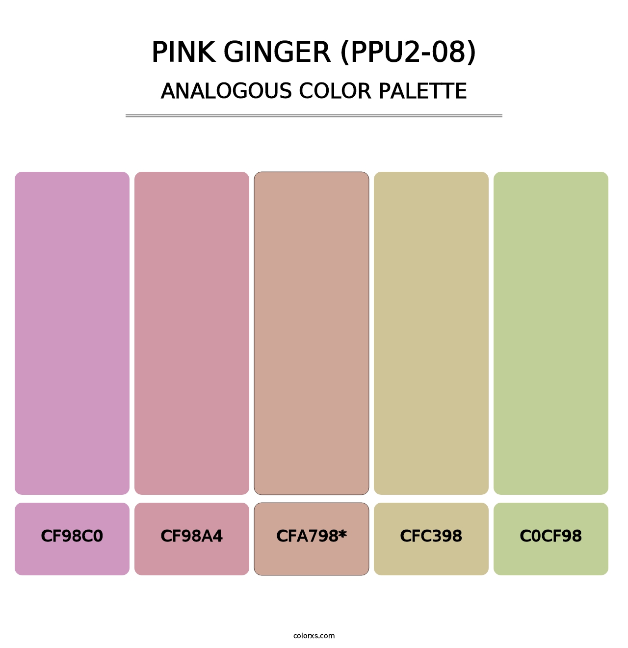 Pink Ginger (PPU2-08) - Analogous Color Palette