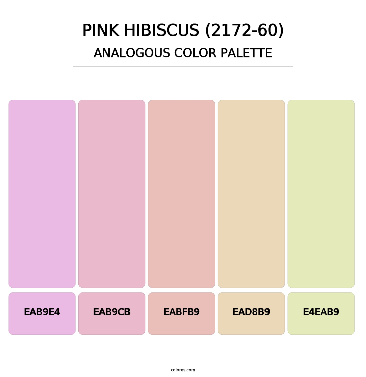 Pink Hibiscus (2172-60) - Analogous Color Palette
