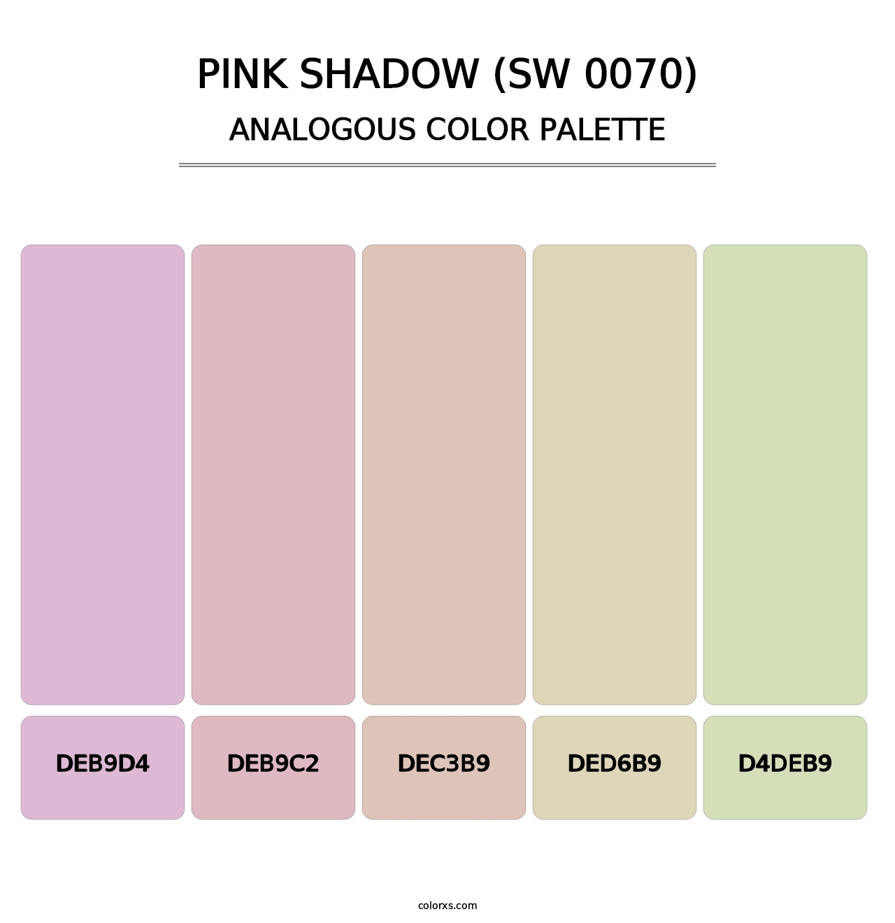 Pink Shadow (SW 0070) - Analogous Color Palette