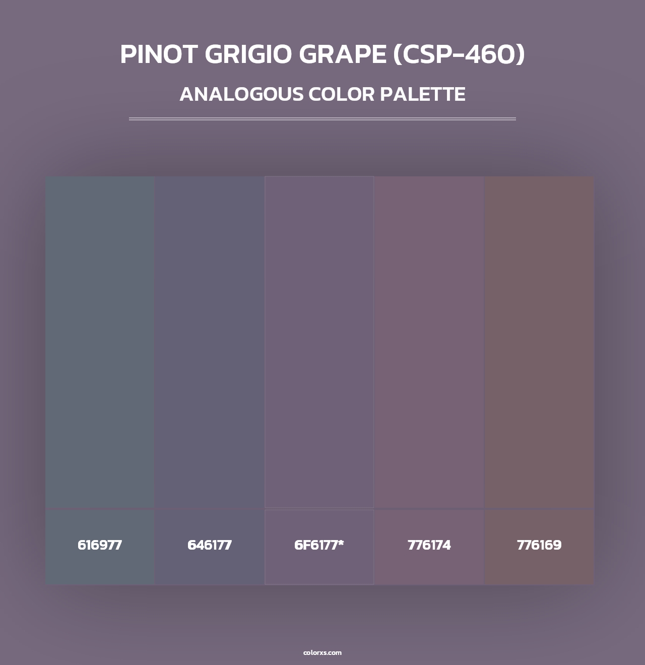 Pinot Grigio Grape (CSP-460) - Analogous Color Palette
