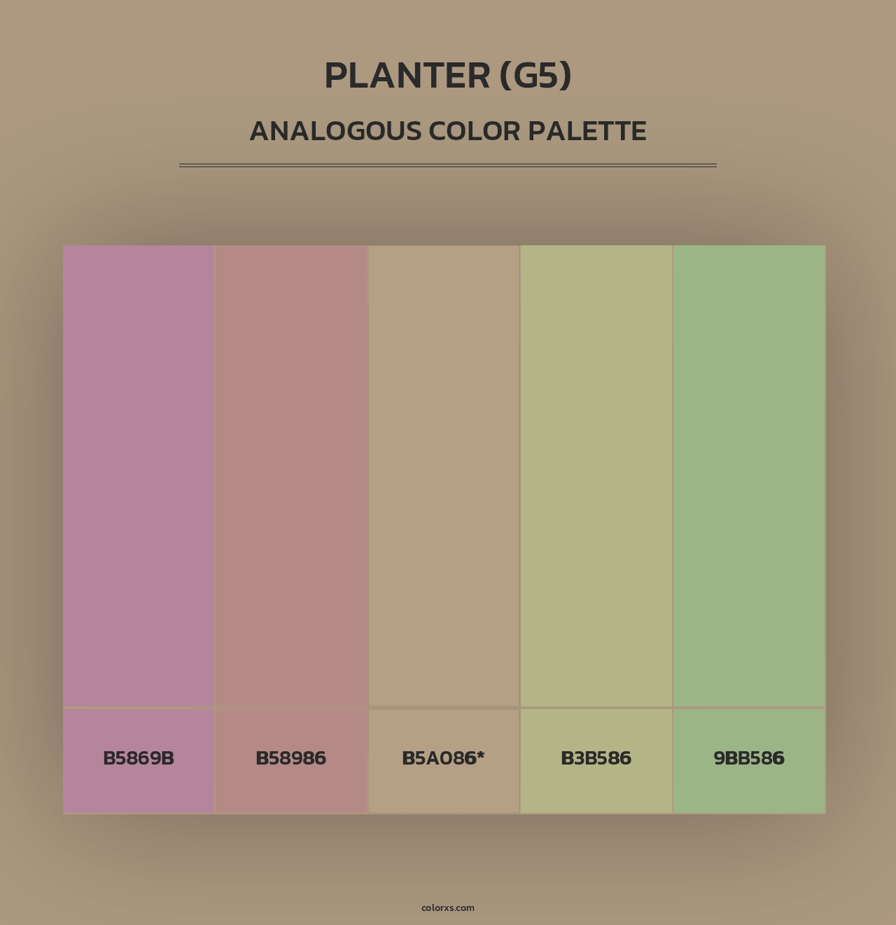 Planter (G5) - Analogous Color Palette