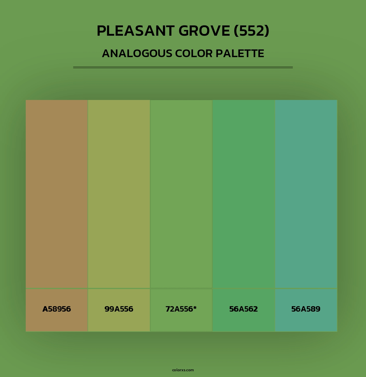 Pleasant Grove (552) - Analogous Color Palette