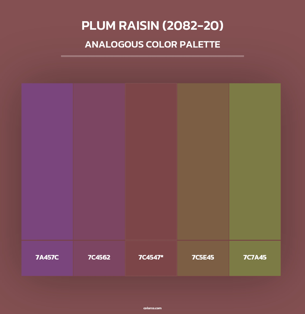 Plum Raisin (2082-20) - Analogous Color Palette