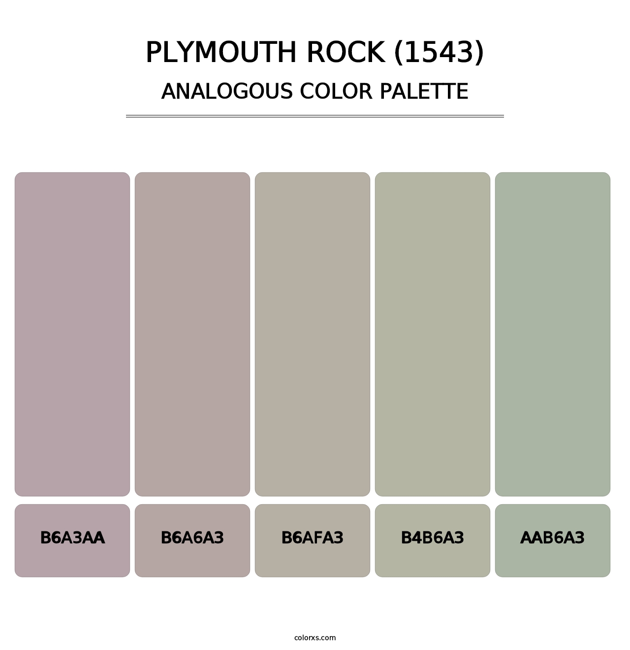 Plymouth Rock (1543) - Analogous Color Palette