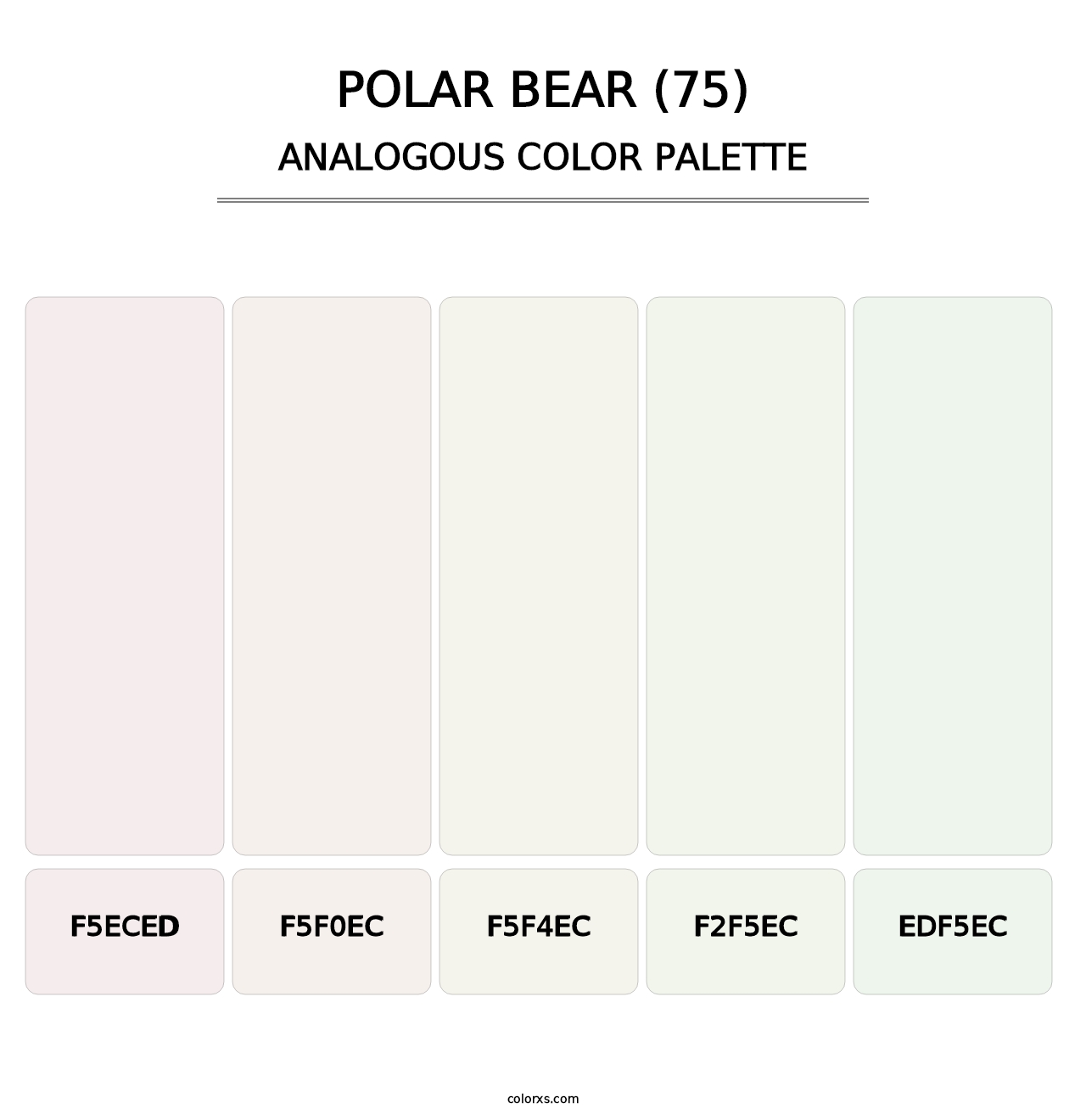 Polar Bear (75) - Analogous Color Palette