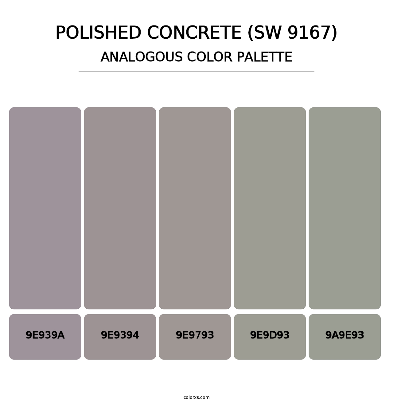 Polished Concrete (SW 9167) - Analogous Color Palette