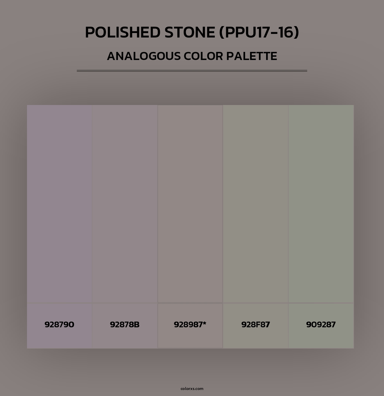 Polished Stone (PPU17-16) - Analogous Color Palette