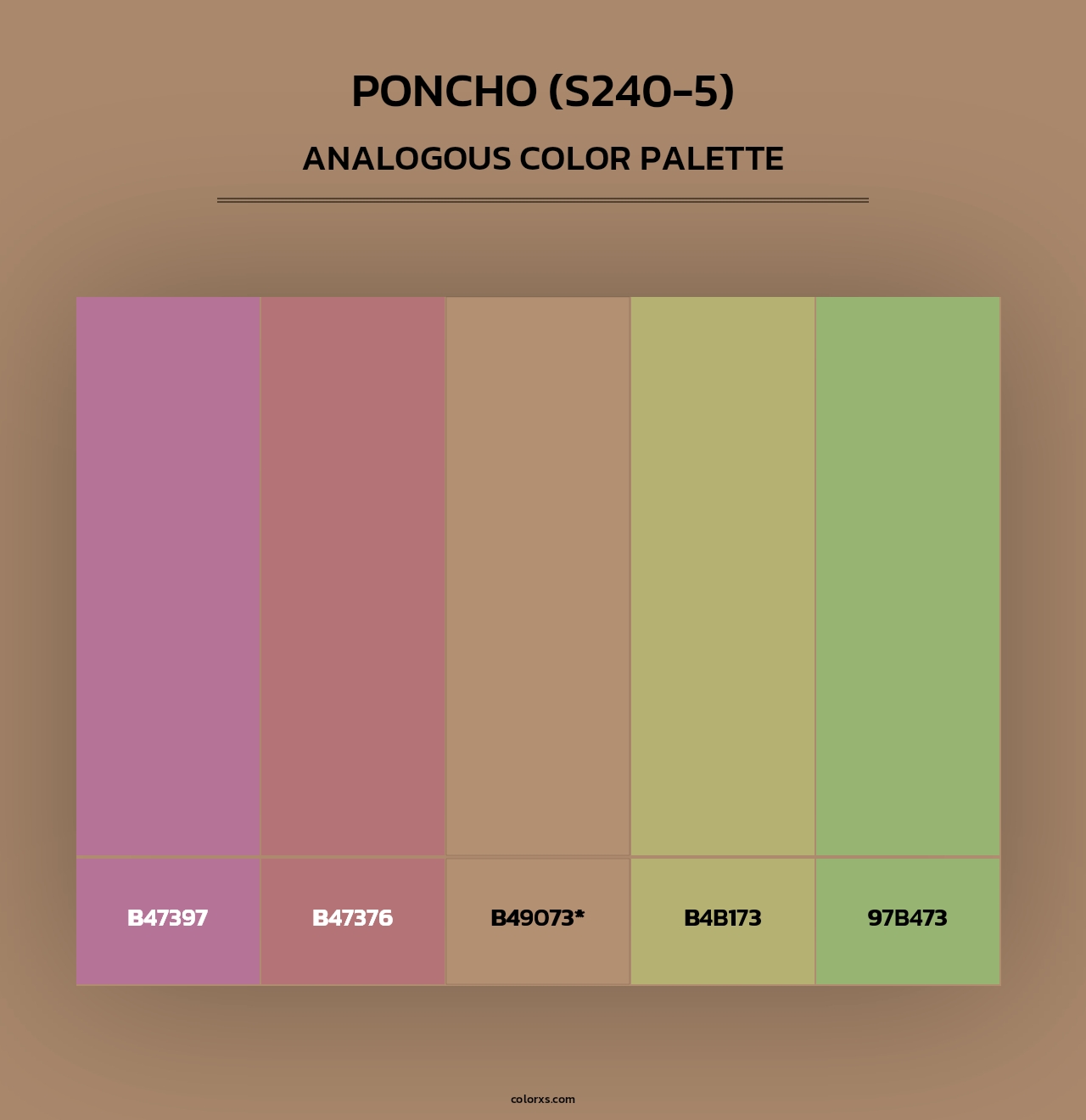 Poncho (S240-5) - Analogous Color Palette