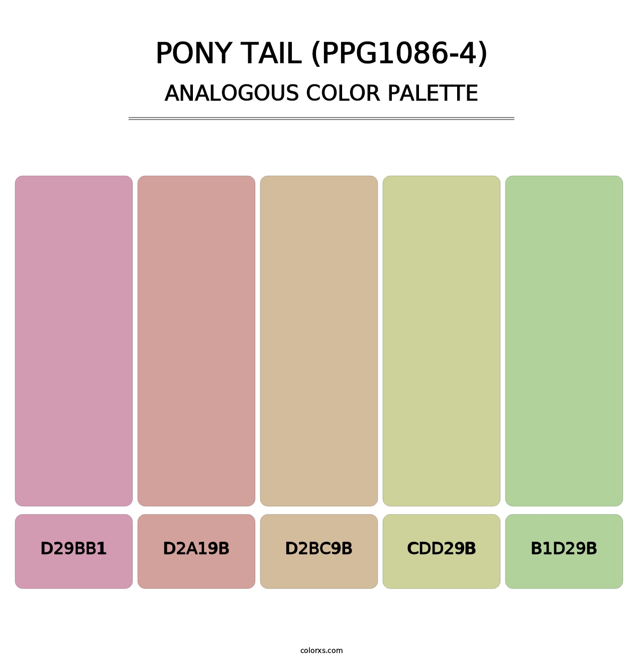 Pony Tail (PPG1086-4) - Analogous Color Palette