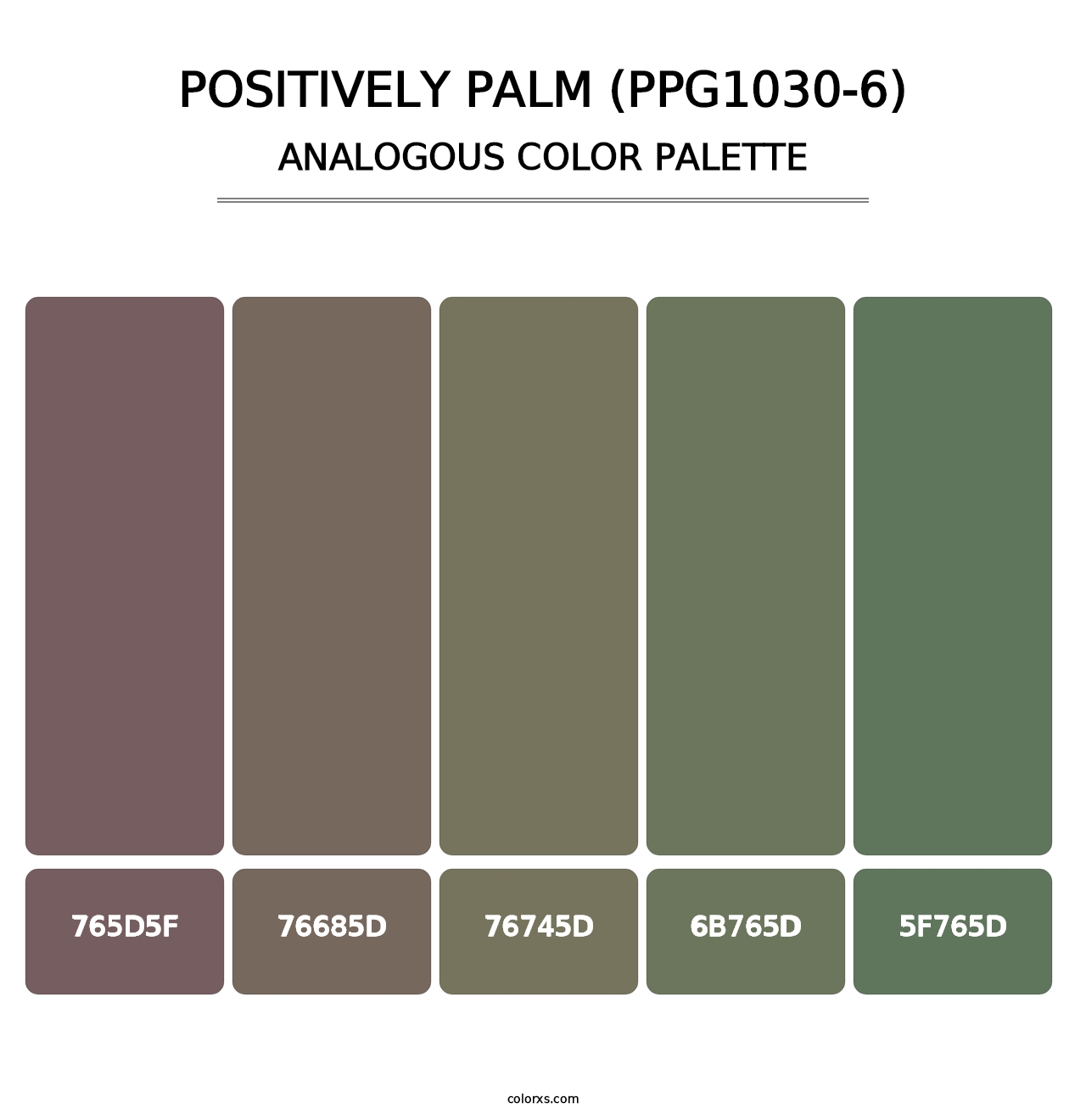 Positively Palm (PPG1030-6) - Analogous Color Palette