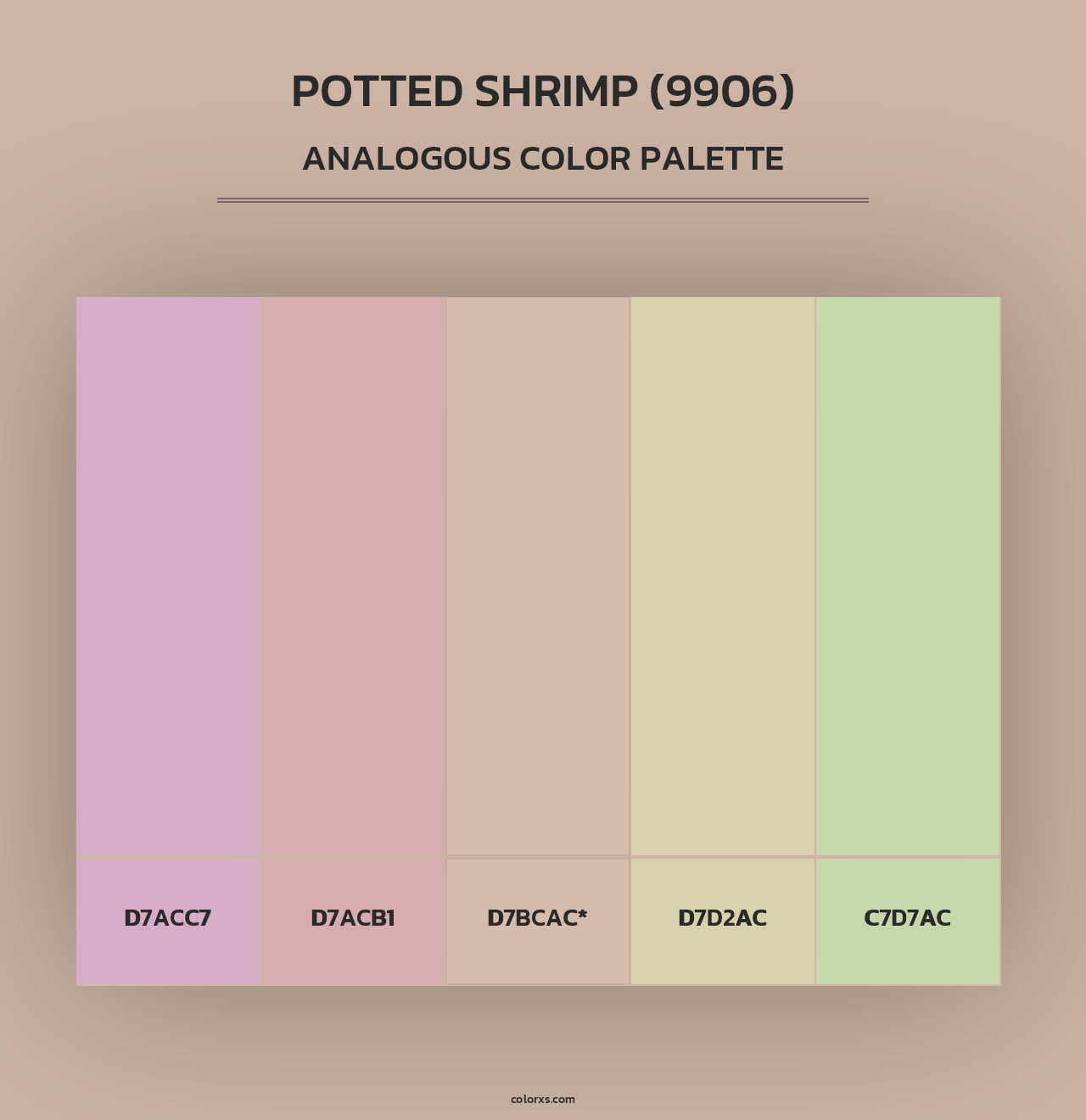 Potted Shrimp (9906) - Analogous Color Palette