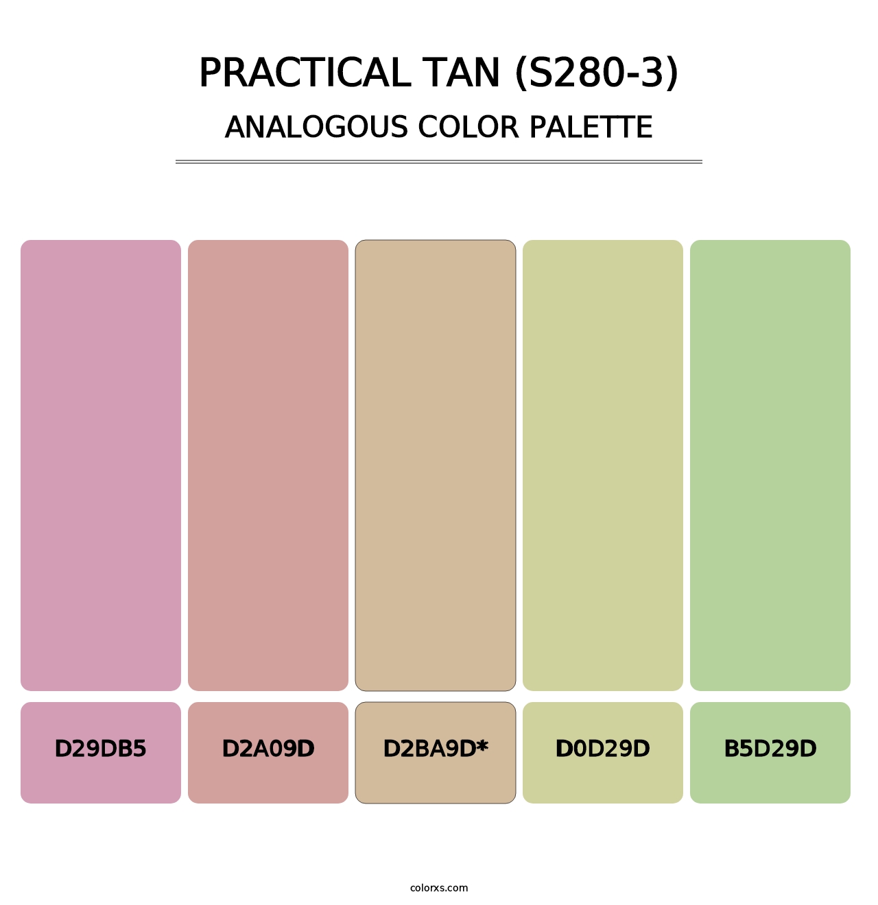 Practical Tan (S280-3) - Analogous Color Palette