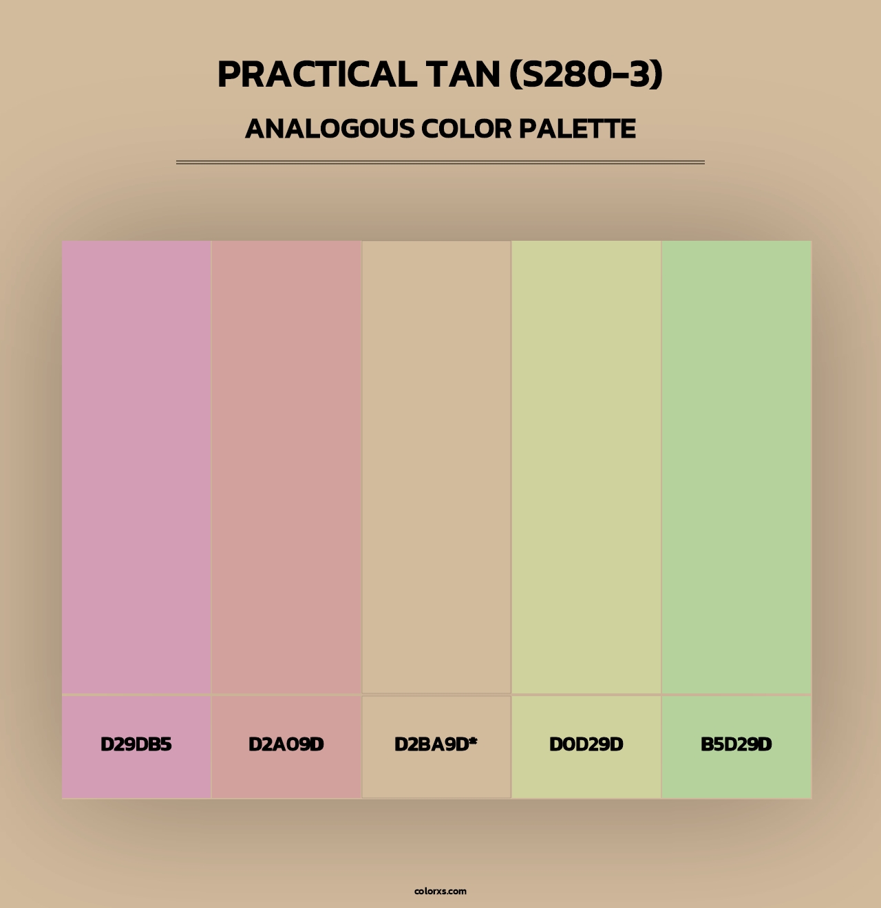 Practical Tan (S280-3) - Analogous Color Palette