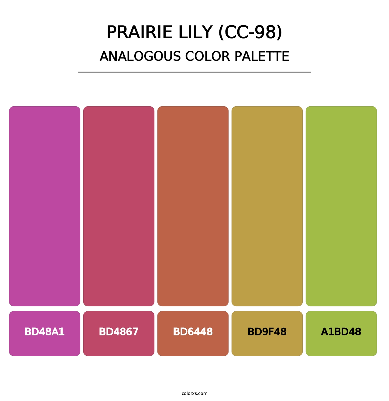 Prairie Lily (CC-98) - Analogous Color Palette