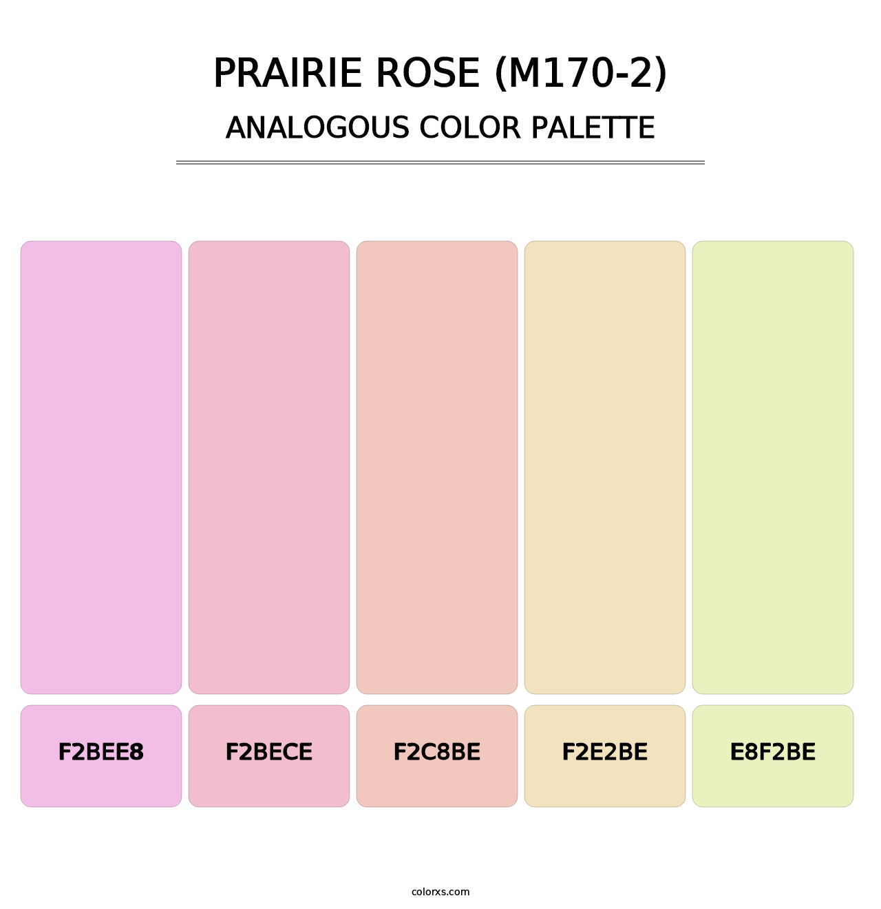 Prairie Rose (M170-2) - Analogous Color Palette