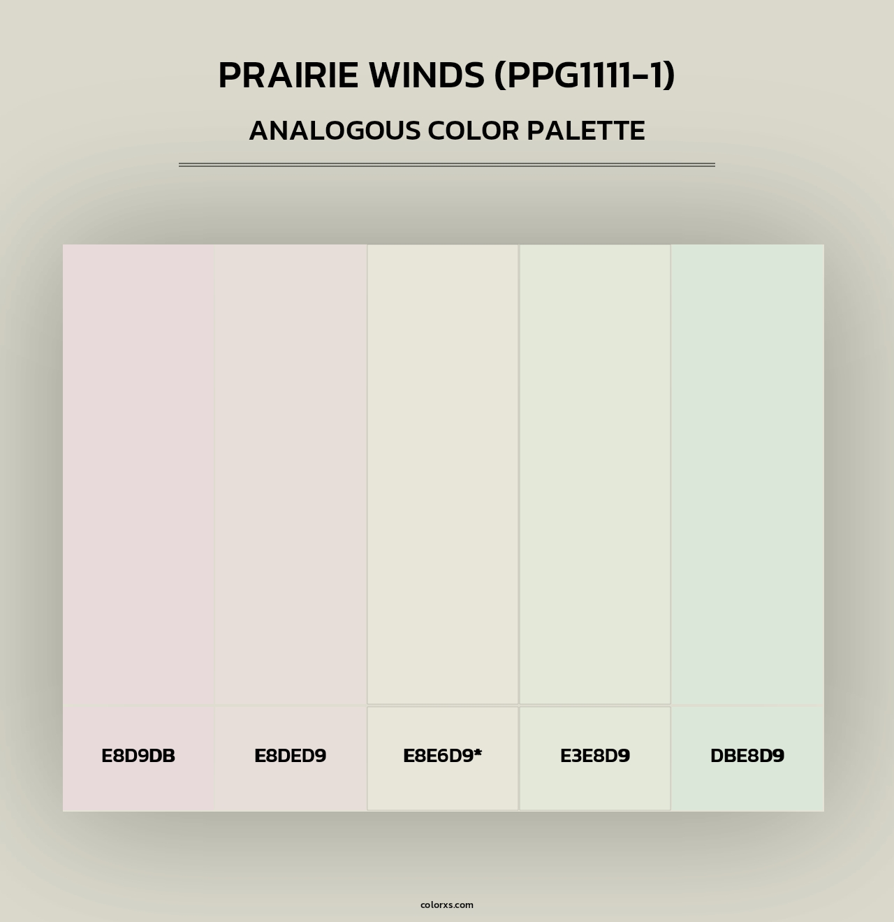 Prairie Winds (PPG1111-1) - Analogous Color Palette