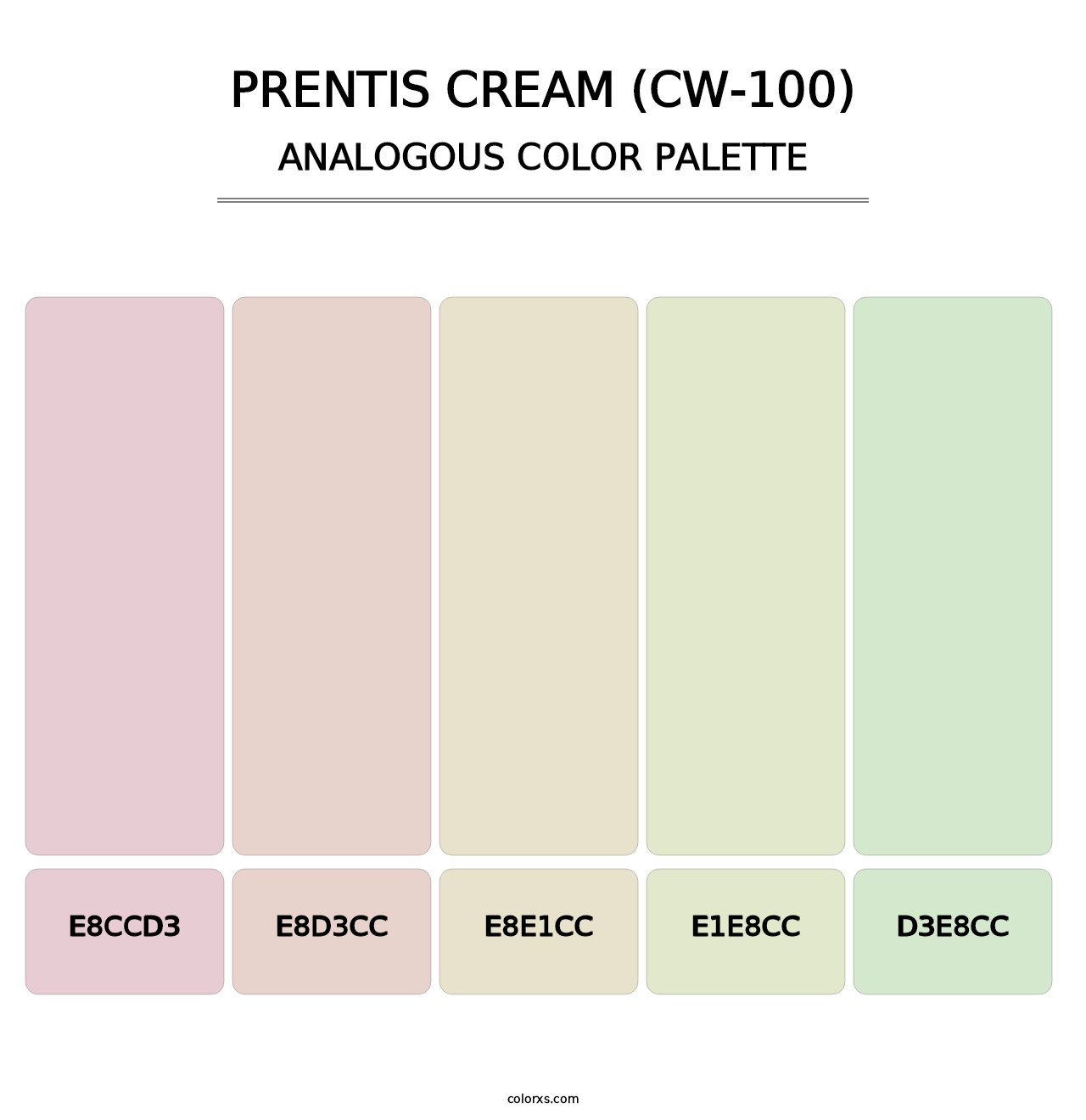 Prentis Cream (CW-100) - Analogous Color Palette