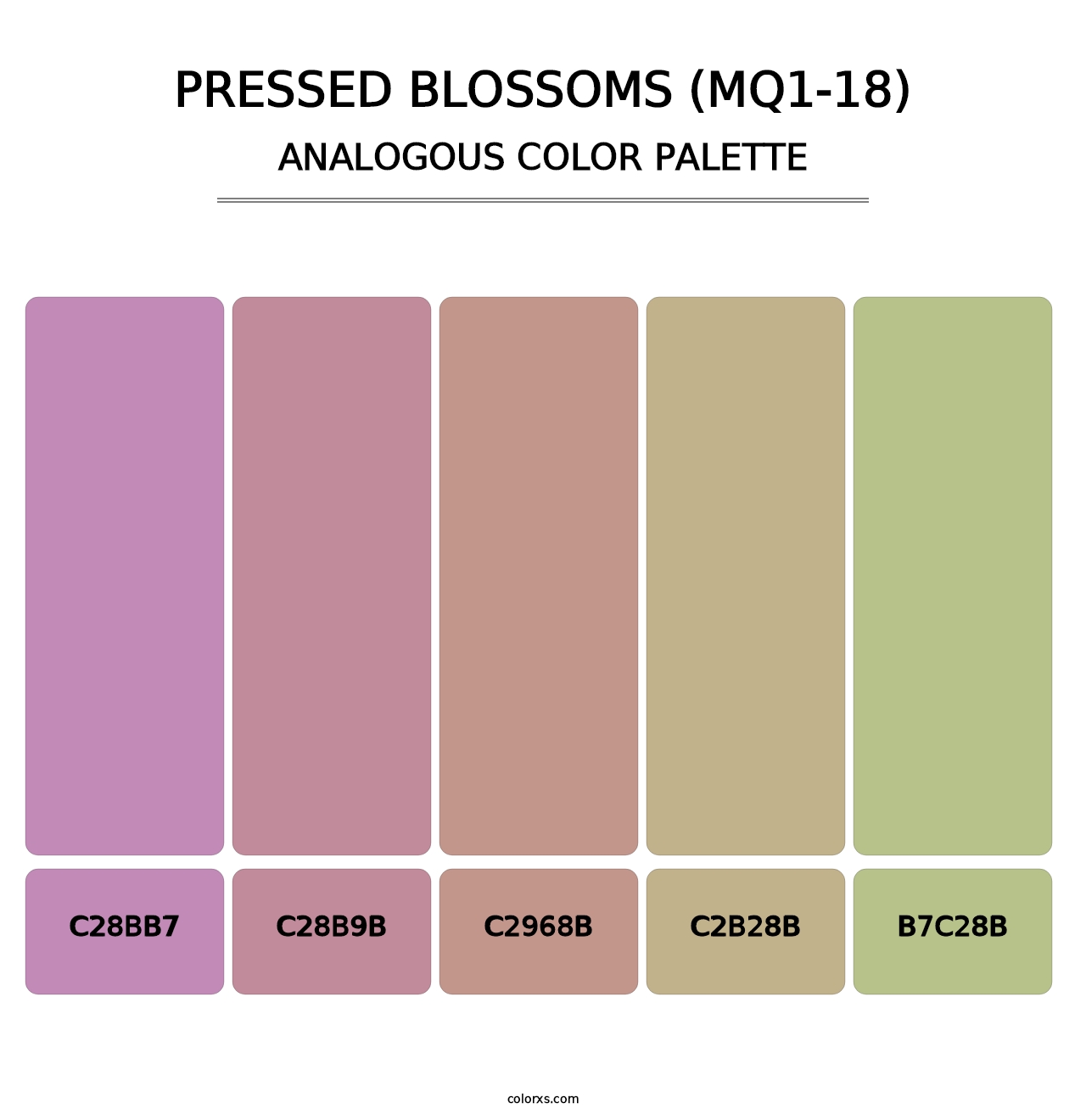 Pressed Blossoms (MQ1-18) - Analogous Color Palette