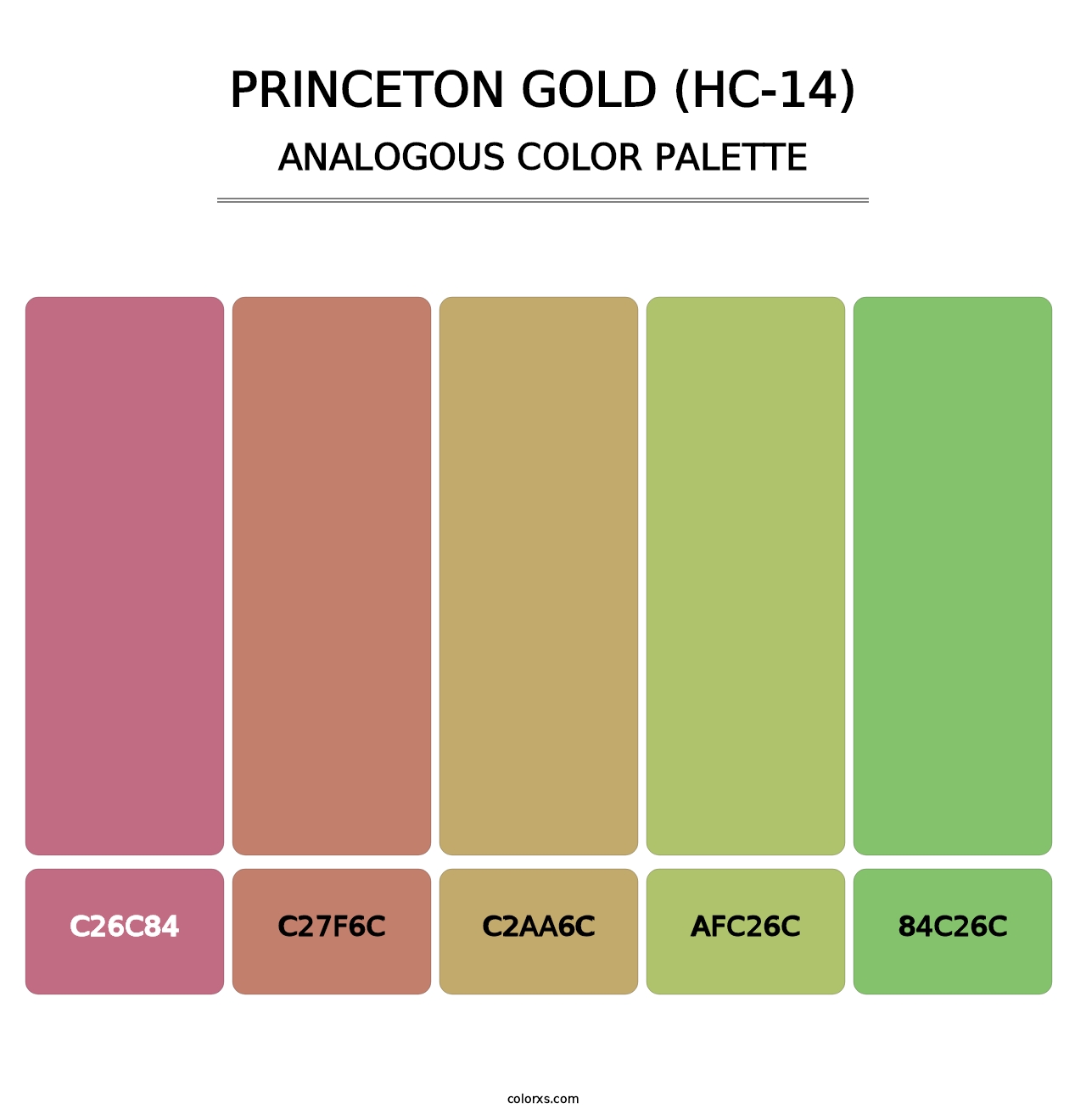 Princeton Gold (HC-14) - Analogous Color Palette
