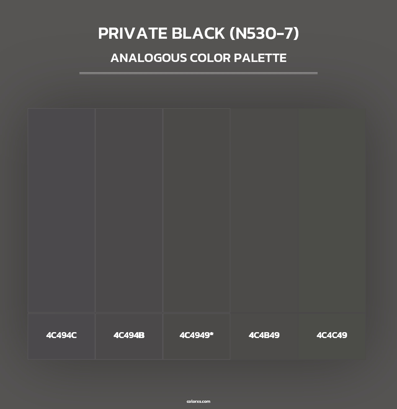 Private Black (N530-7) - Analogous Color Palette